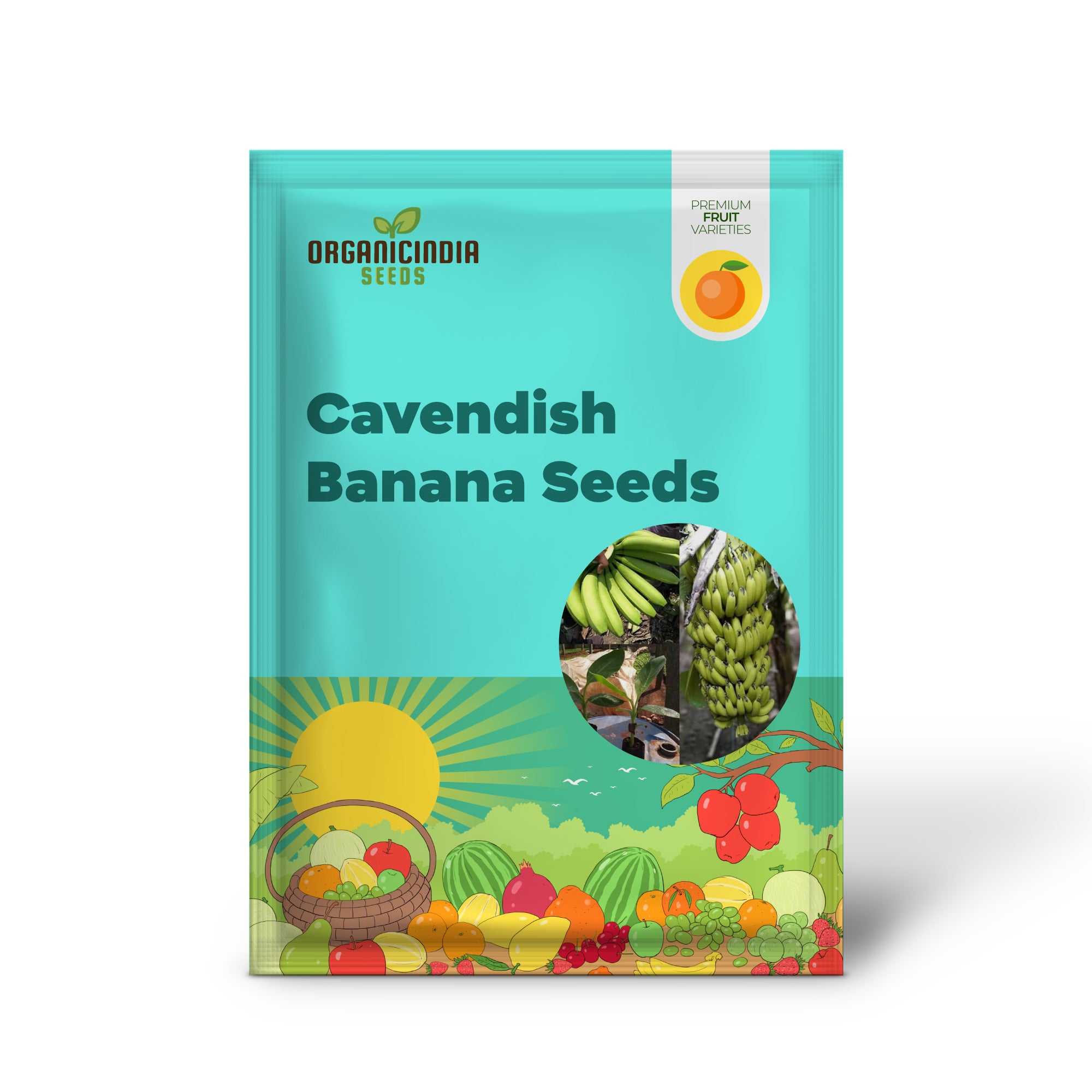 Dwarf Cavendish Banana Seeds for Planting,Dwarf Musa | Tropical Fruit Tree Seeds