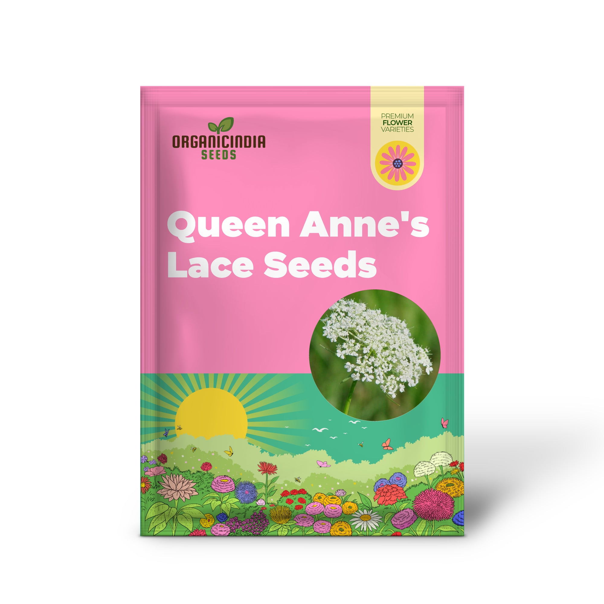 Queen Anne's Lace Seeds - Daucus Carota, Biennial, Pollinator-Friendly, Delicate Beauty with Unique Growth Pattern