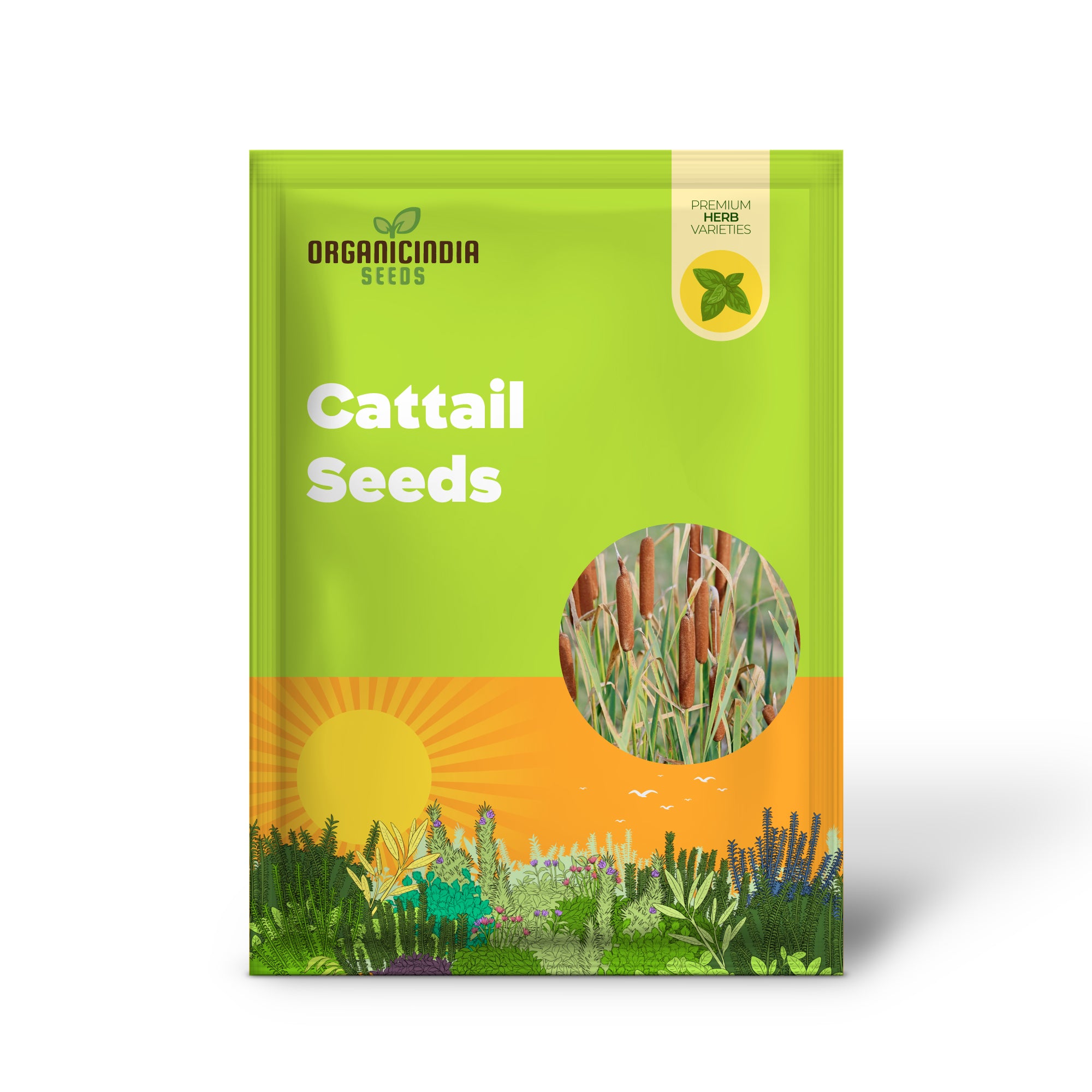 Cattail Seeds for Planting Typha Latifolia Perennial Fast-Growing Ornamental for Ponds & Bog Gardens