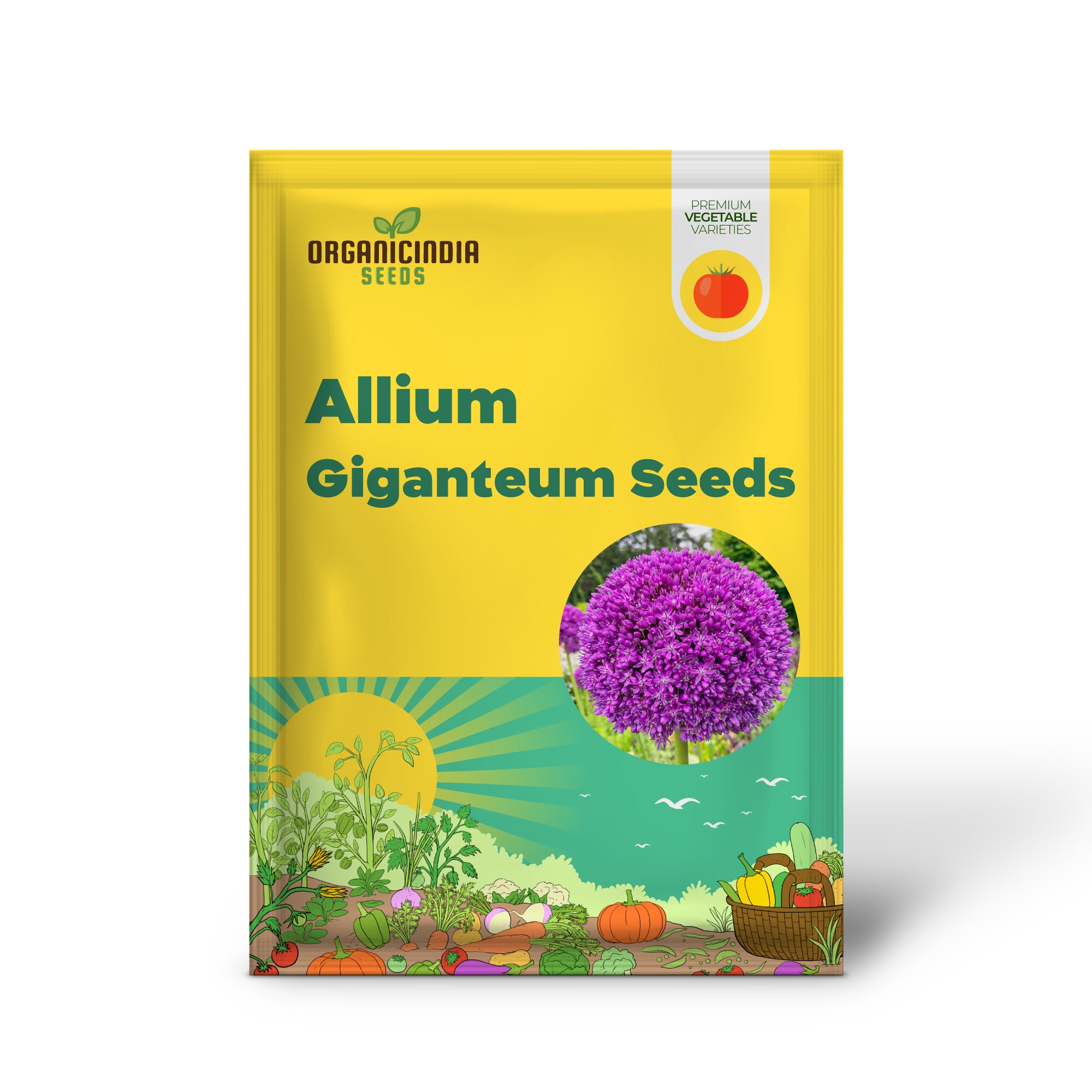Giant Purple Allium Giganteum Seeds  Organic Ornamental Onion Perennial Flower - Non-GMO Beautiful Garden Plant Seeds