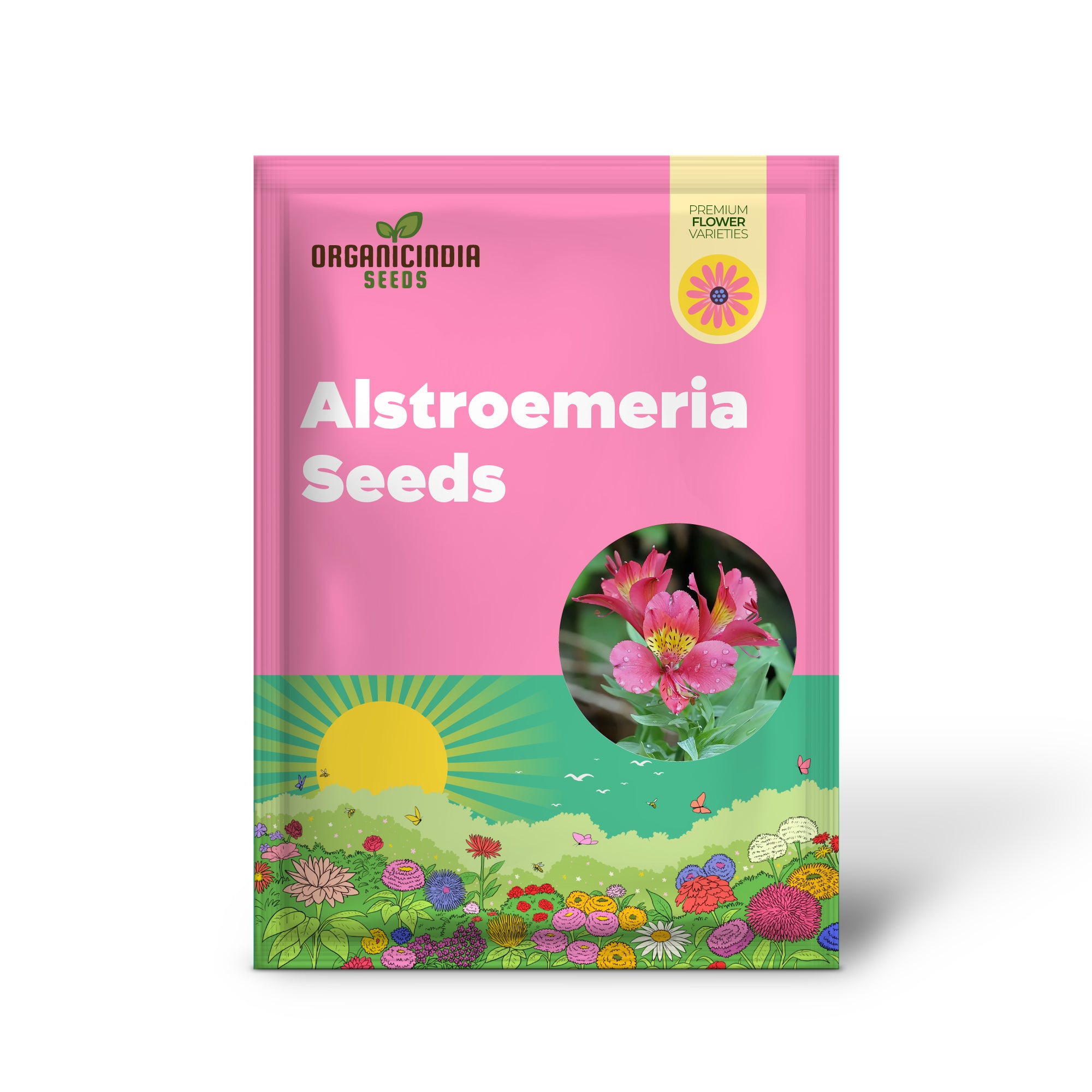 Alstroemeria Seeds or Peruvian Lily Flower Seeds For Planting,Attracts Pollinators