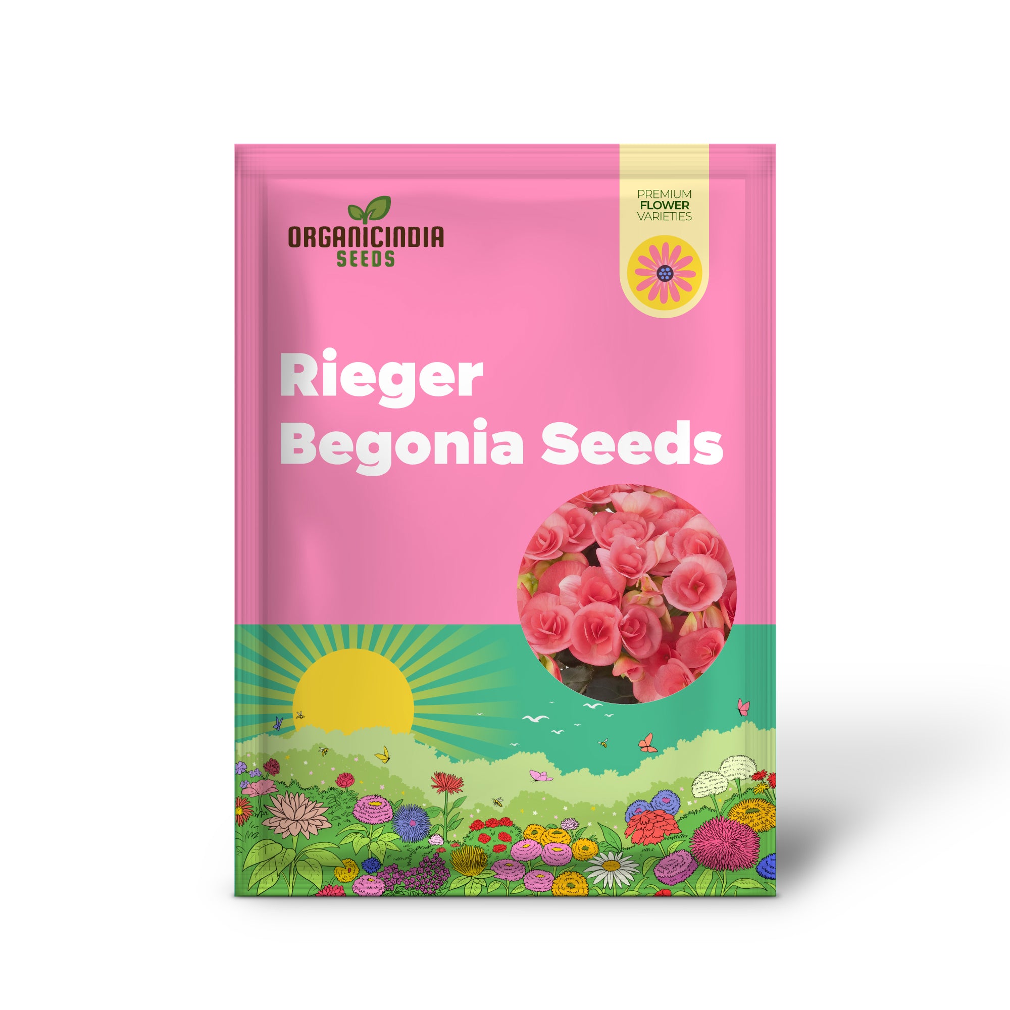 Pink Rieger Begonia Seeds  Popular Houseplant with Showy, Beautiful Flowers And Attractive Foliage  Easy to Care for  Ideal for Garden Beds, Indoor And Outdoor Spaces   Flower Seeds