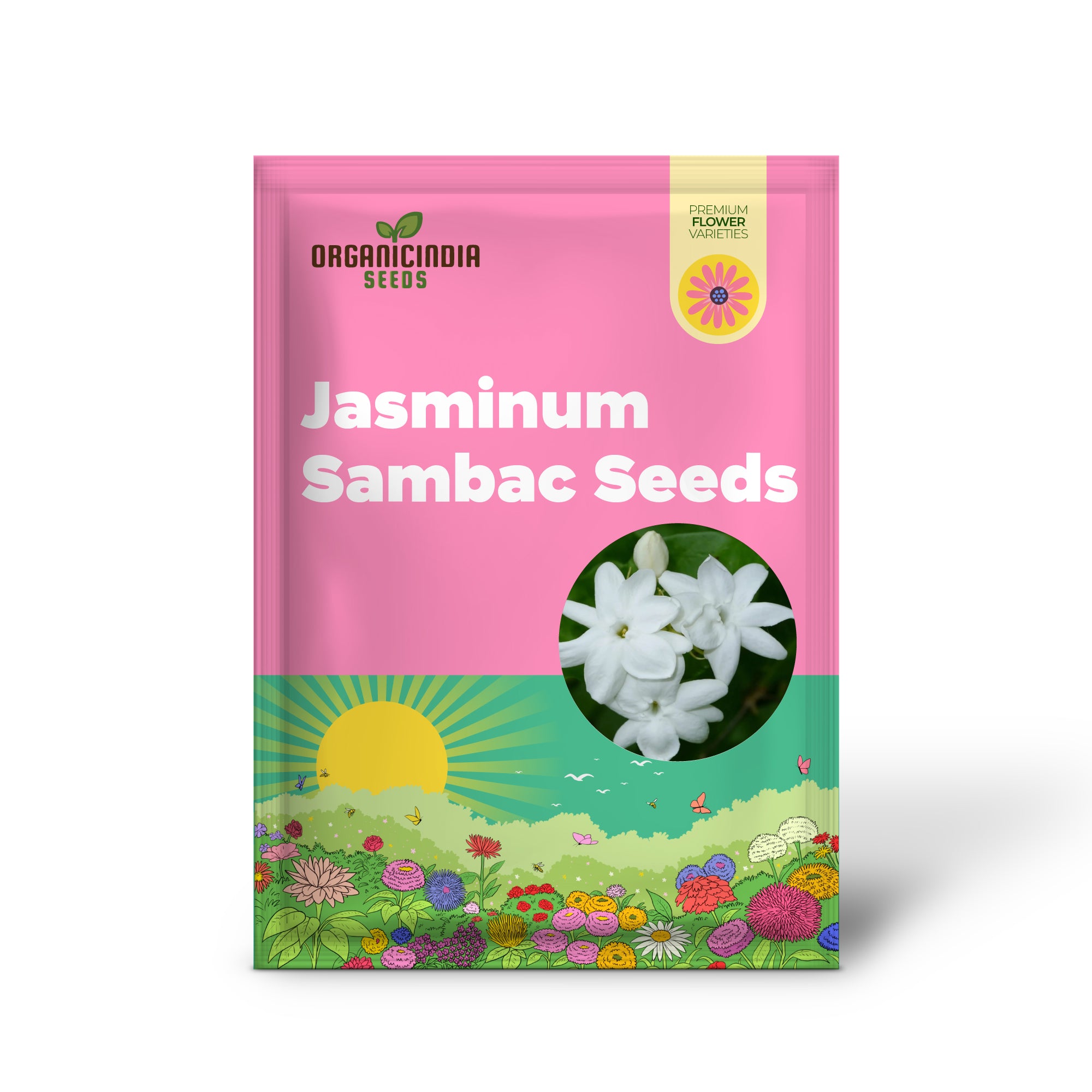 Jasminum Sambac Seeds Arabian Jasmine, Fragrant Broadleaf