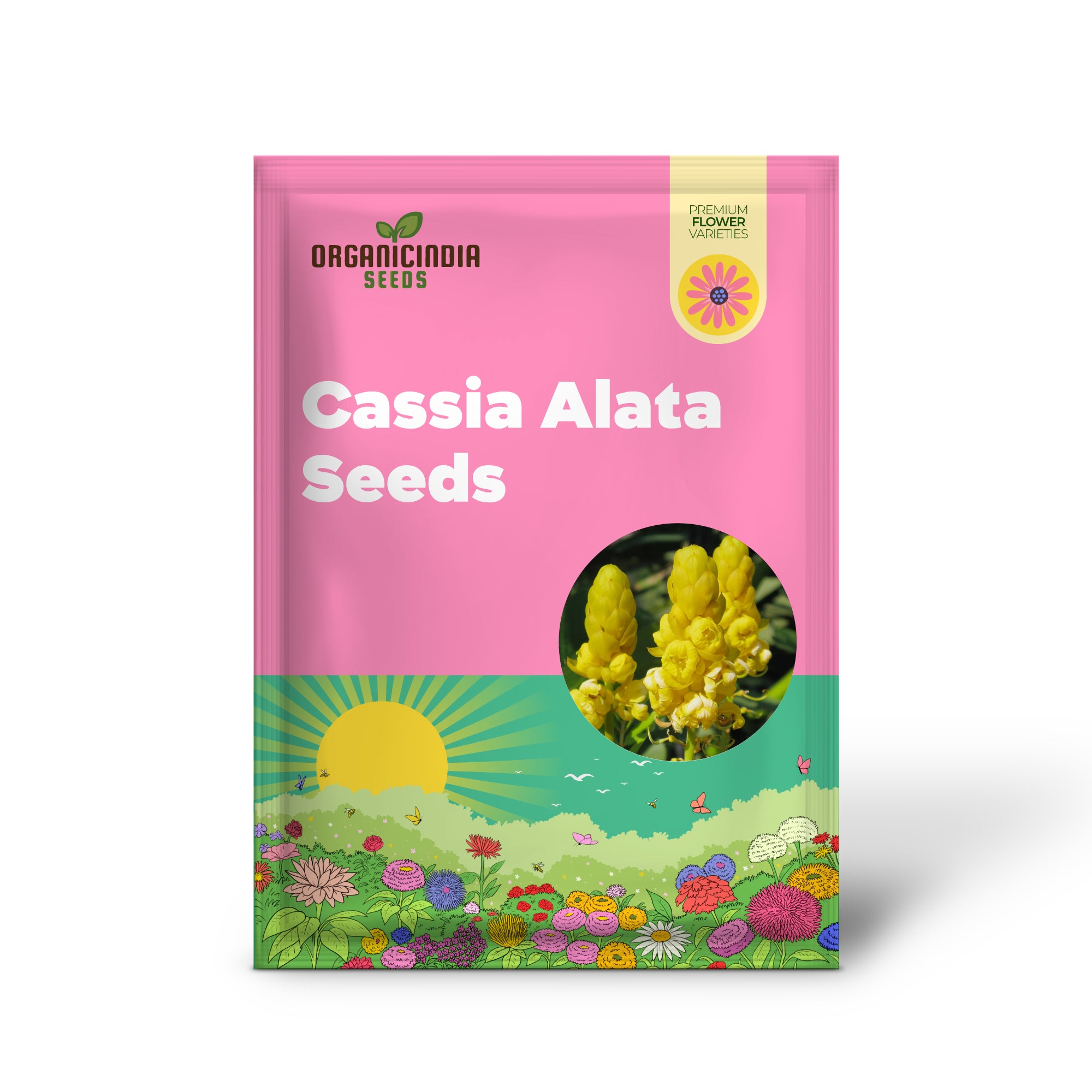 Cassia Alata Seeds - Senna Alata Exotic Evergreen Shrub, Perennial, Deer Resistant, Ornamental, Bee-Attracting for Rock Gardens & Borders - 20 Pieces