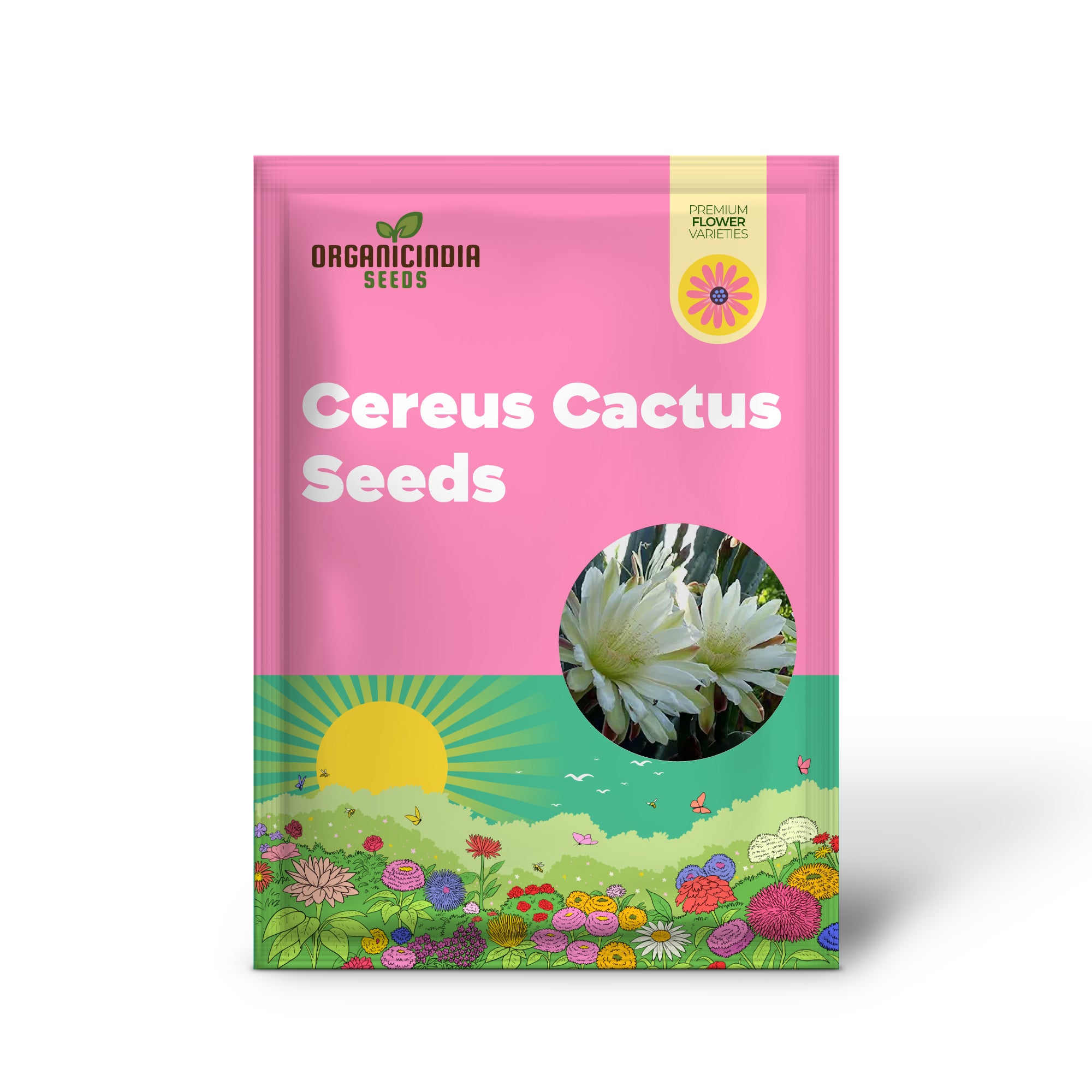 Queen of the Night Seeds - Night-Blooming Cereus Cactus with Large Fragrant White Flowers, Ideal for Hanging Baskets - 50 Pcs