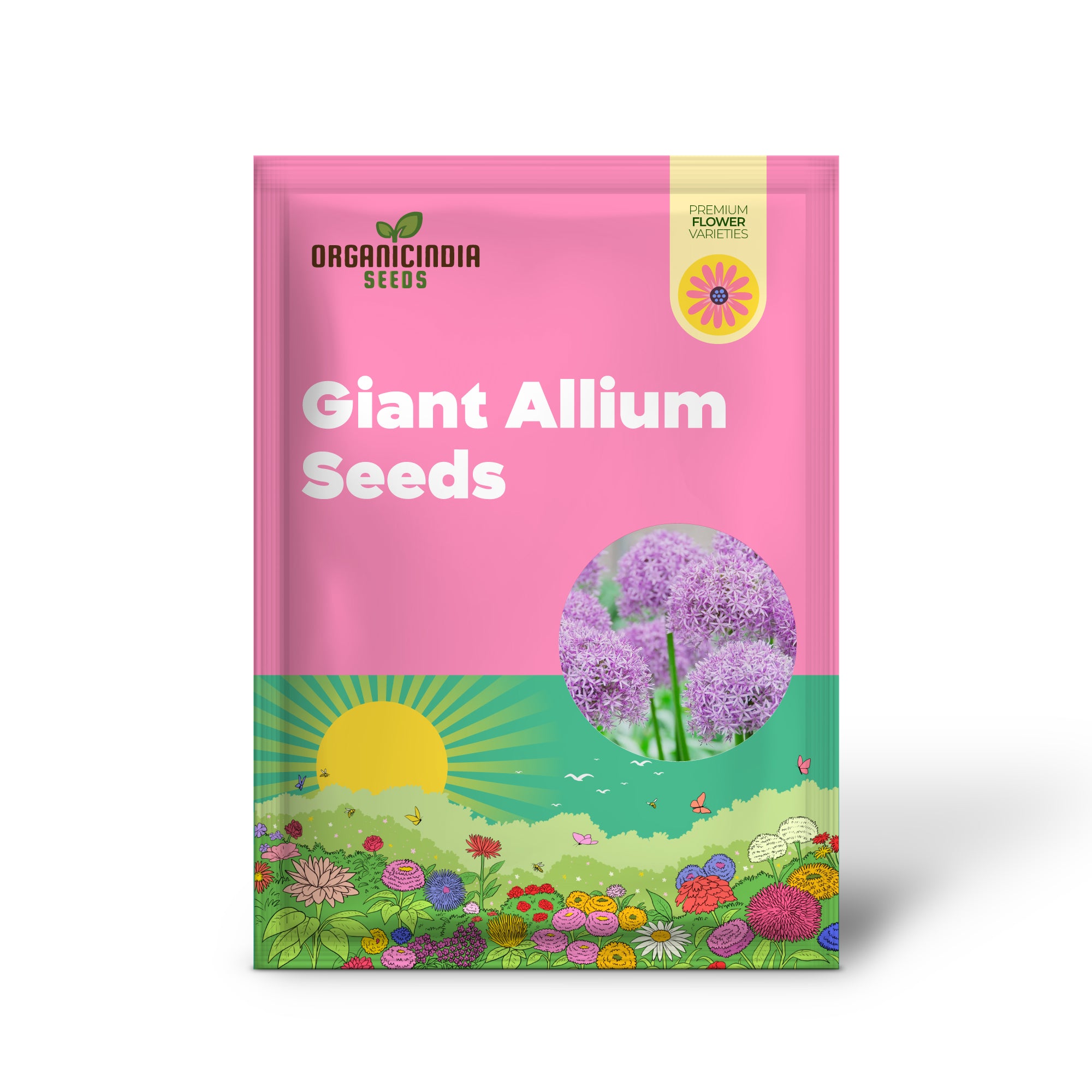Giant Allium Seeds - Allium Giganteum Purple, Cold Hardy Heirloom & Non-GMO, Ideal for Cut Flowers - 50 Pcs
