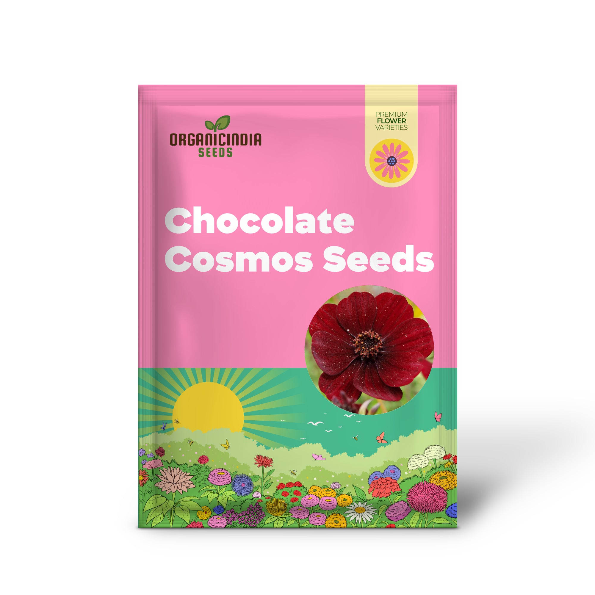 Chocolate Cosmos Seeds  Cosmos Atrosanguineus Perennial with Chocolate Fragrance, Butterfly Attracting Ornamental Flower for Gardens And Containers