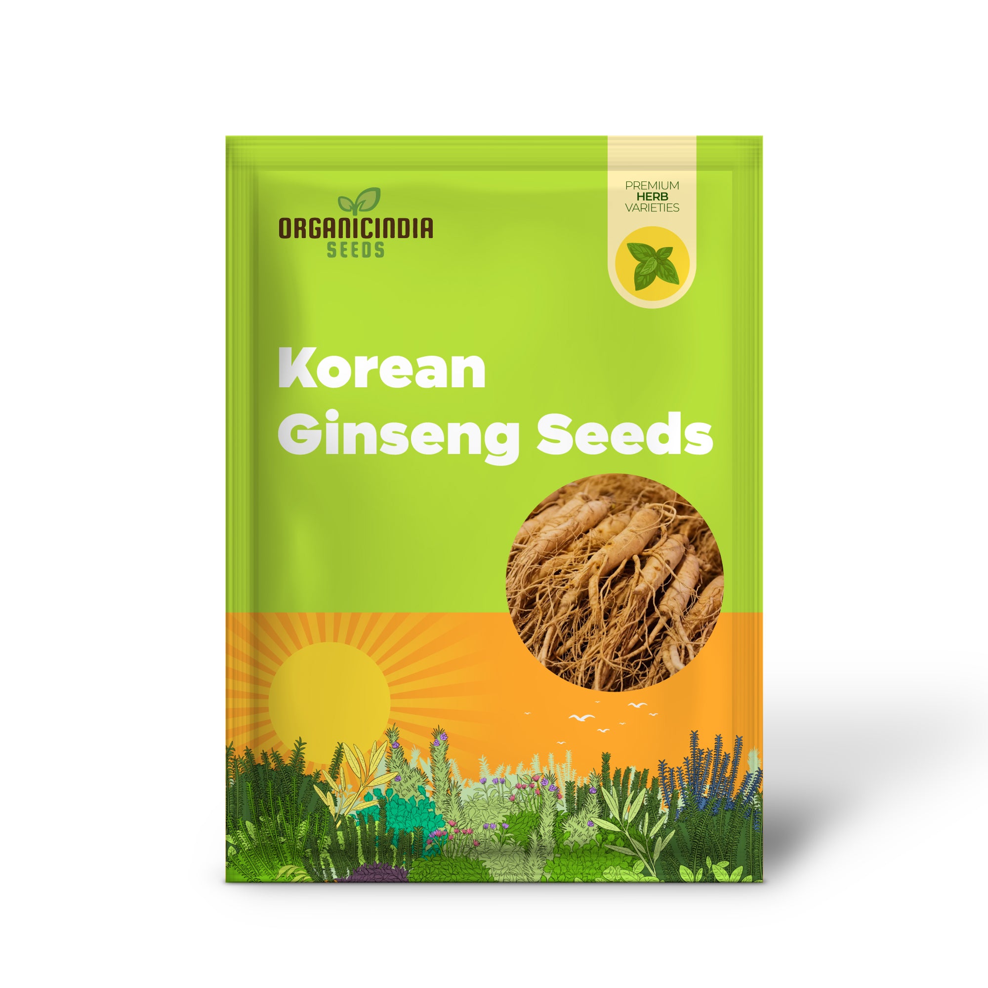 Korean Ginseng Seeds Panax Ginseng Perennial Health Benefits Garden Beds Outdoor Border Herb Seeds