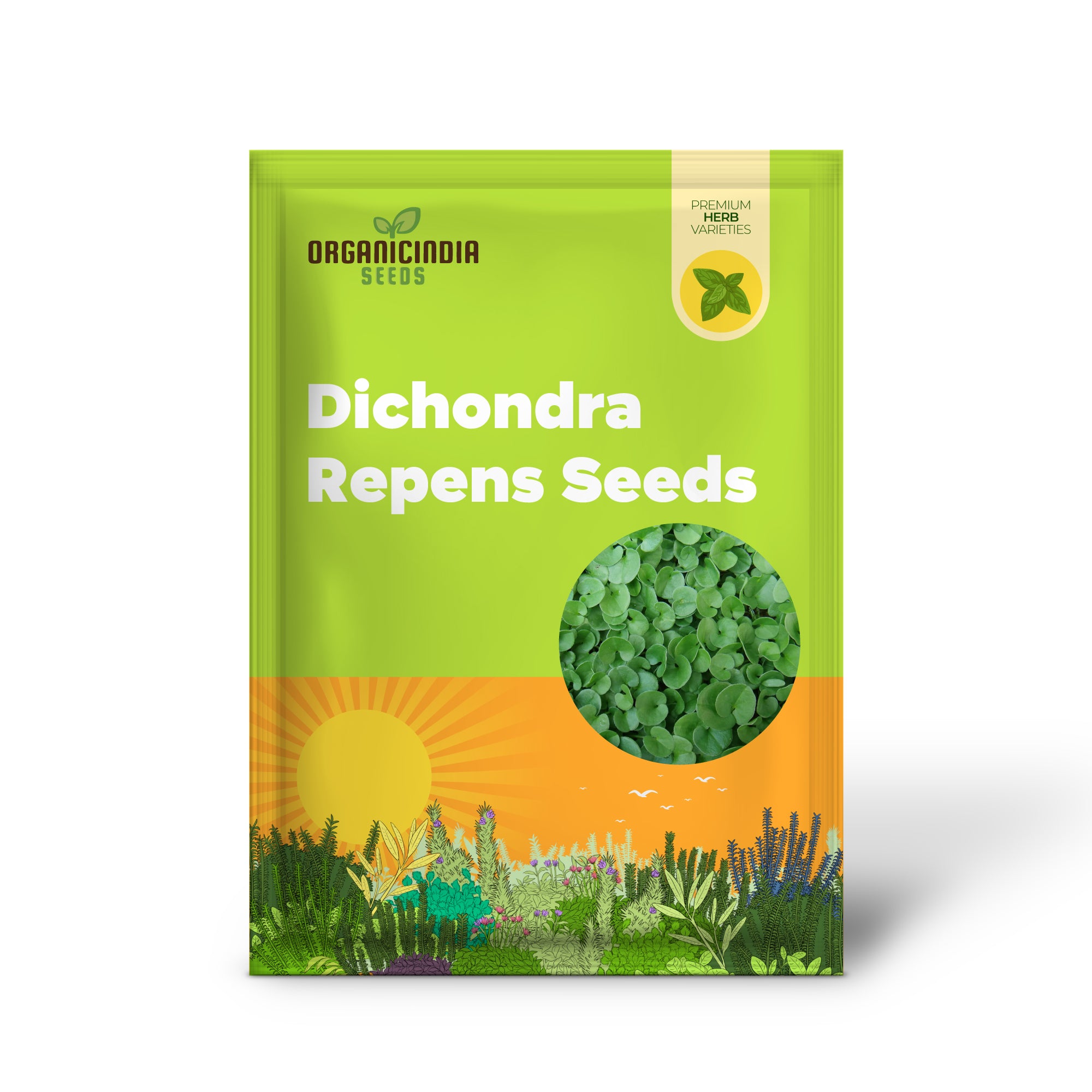 Dichondra Repens Seeds - Perennial Ground Cover Lawn Substitute - 100Pcs Herb Seeds