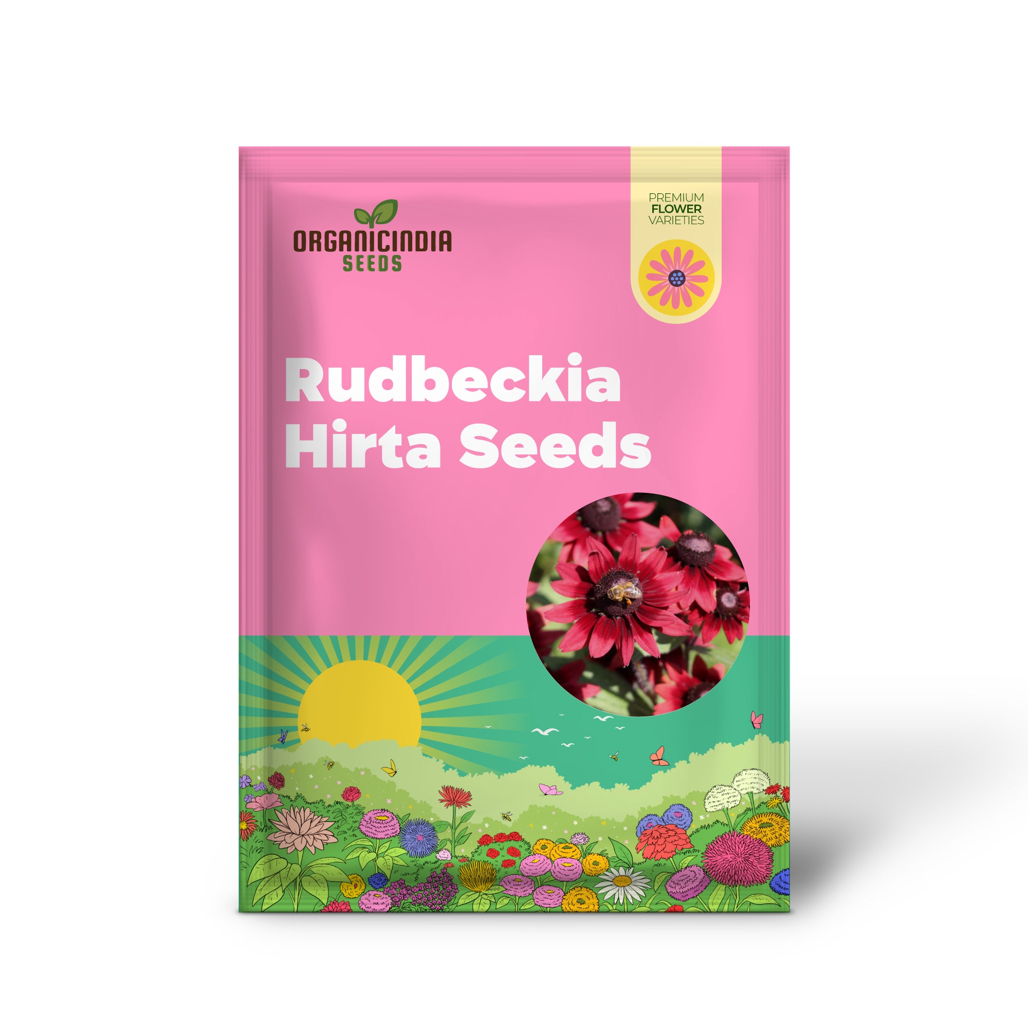 Graines de Rudbeckia Hirta 'Cherry Brandy' | Susan aux yeux noirs | Plante herbacée vivace, attirant les papillons | Résistant aux cerfs et à la sécheresse | Bordure, jardin de campagne, extérieur | 30 graines de fleurs