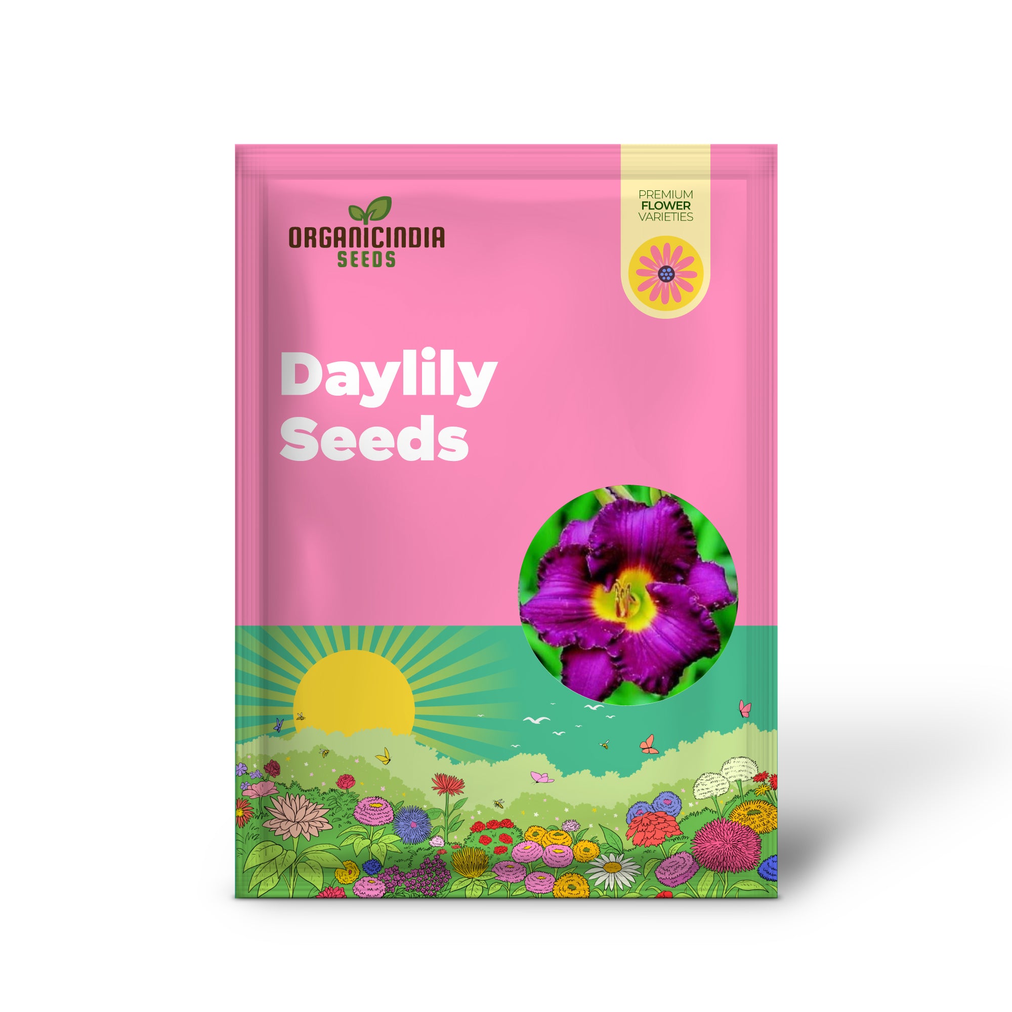 10 Mixed Colors Daylily Seeds  Hemerocallis Day Lily Fine Mix  Red, Purple, and More  Flower Seeds