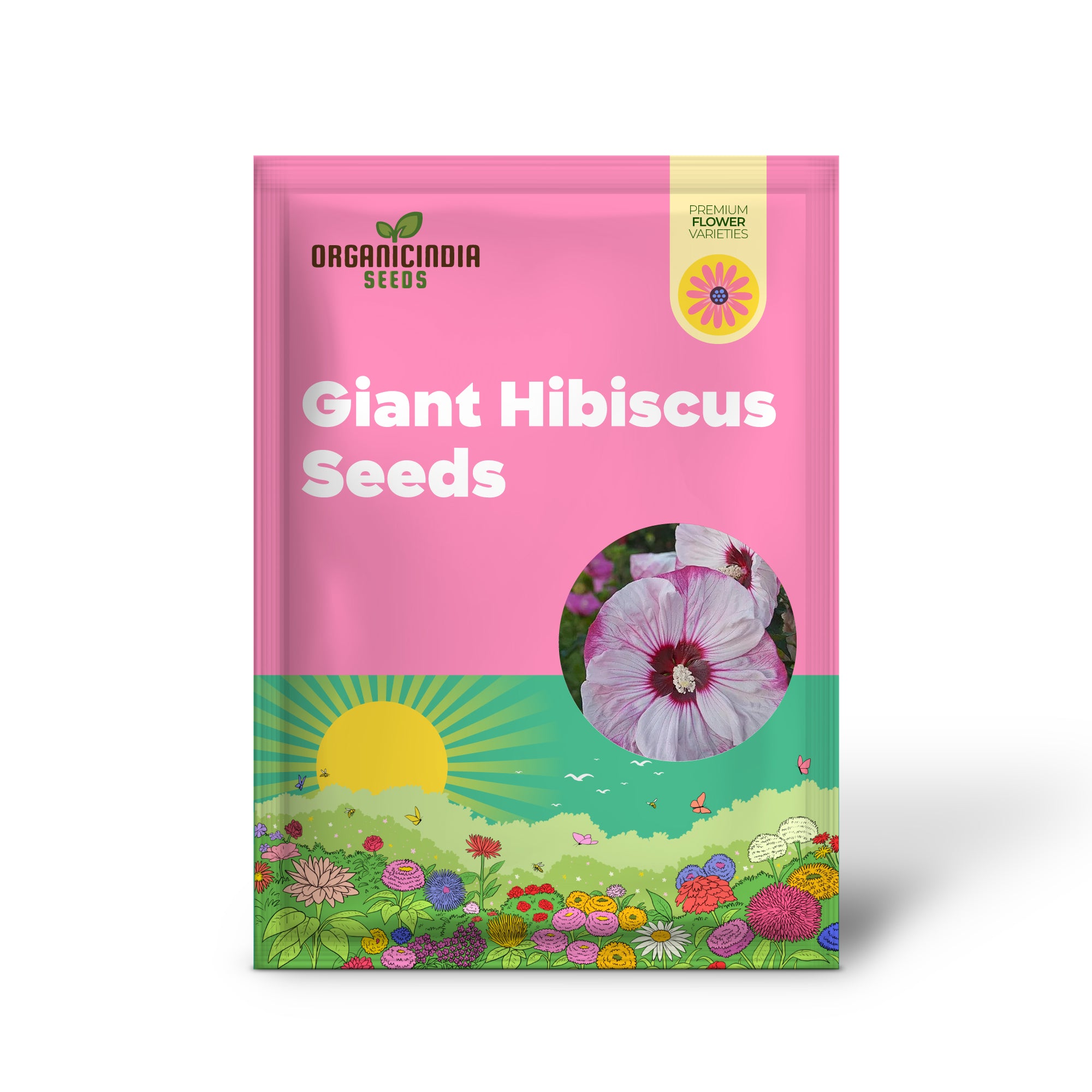 Garden  Giant Hibiscus Seeds  Dinnerplate Hibiscus  Moscheutos Swamp Mallow  Perennial Hardy Ornamental Plant  Outdoor Flower Seeds