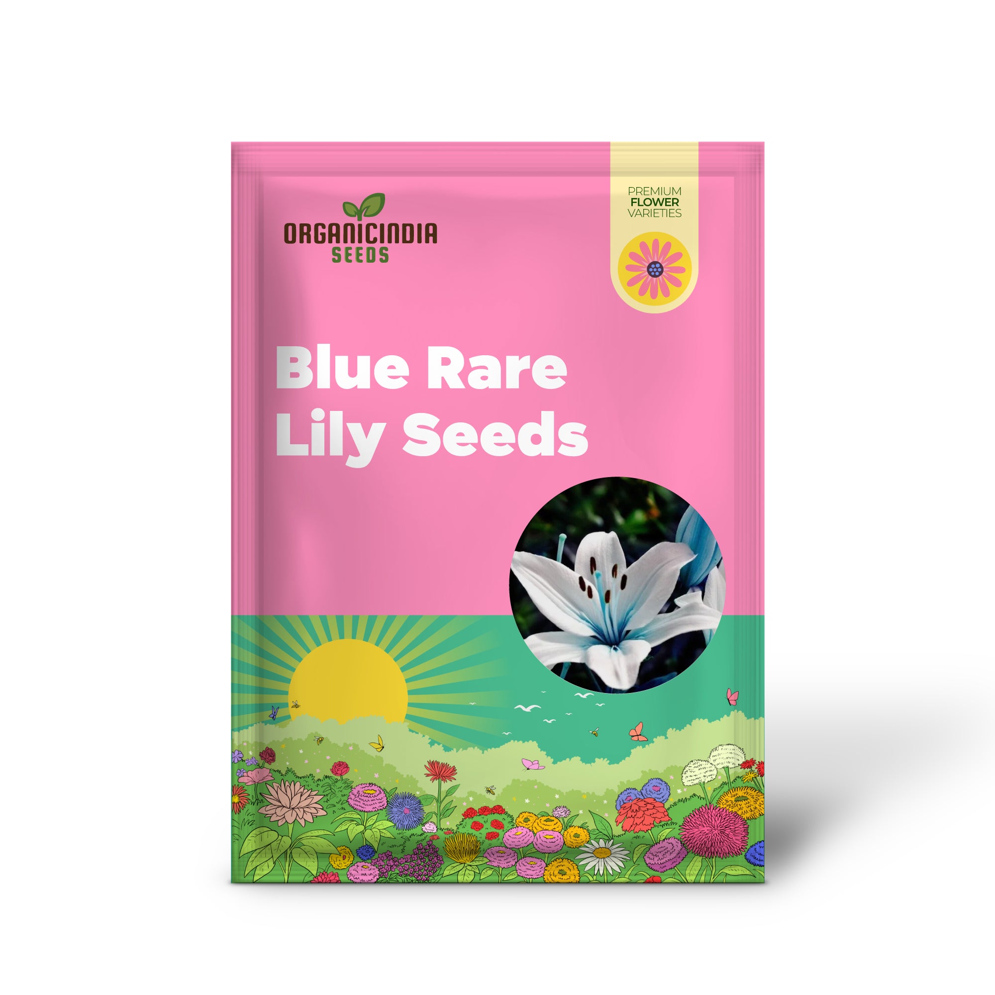 Blaue, seltene Liliensamen für die Gartenarbeit im Hof, Lilium-Blumensamen für Zuhause, Bonsai und zum Bepflanzen des Gartens – 50 Stück
