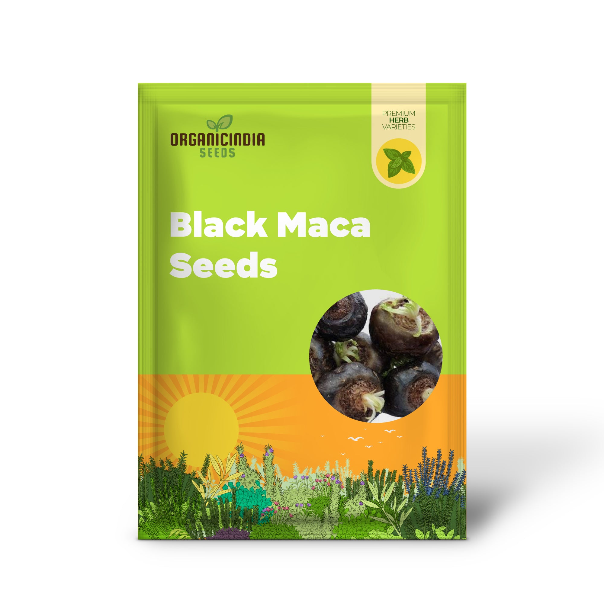 Black Maca Seeds, Ginseng Superfood, Easy to Grow – 40 Pieces