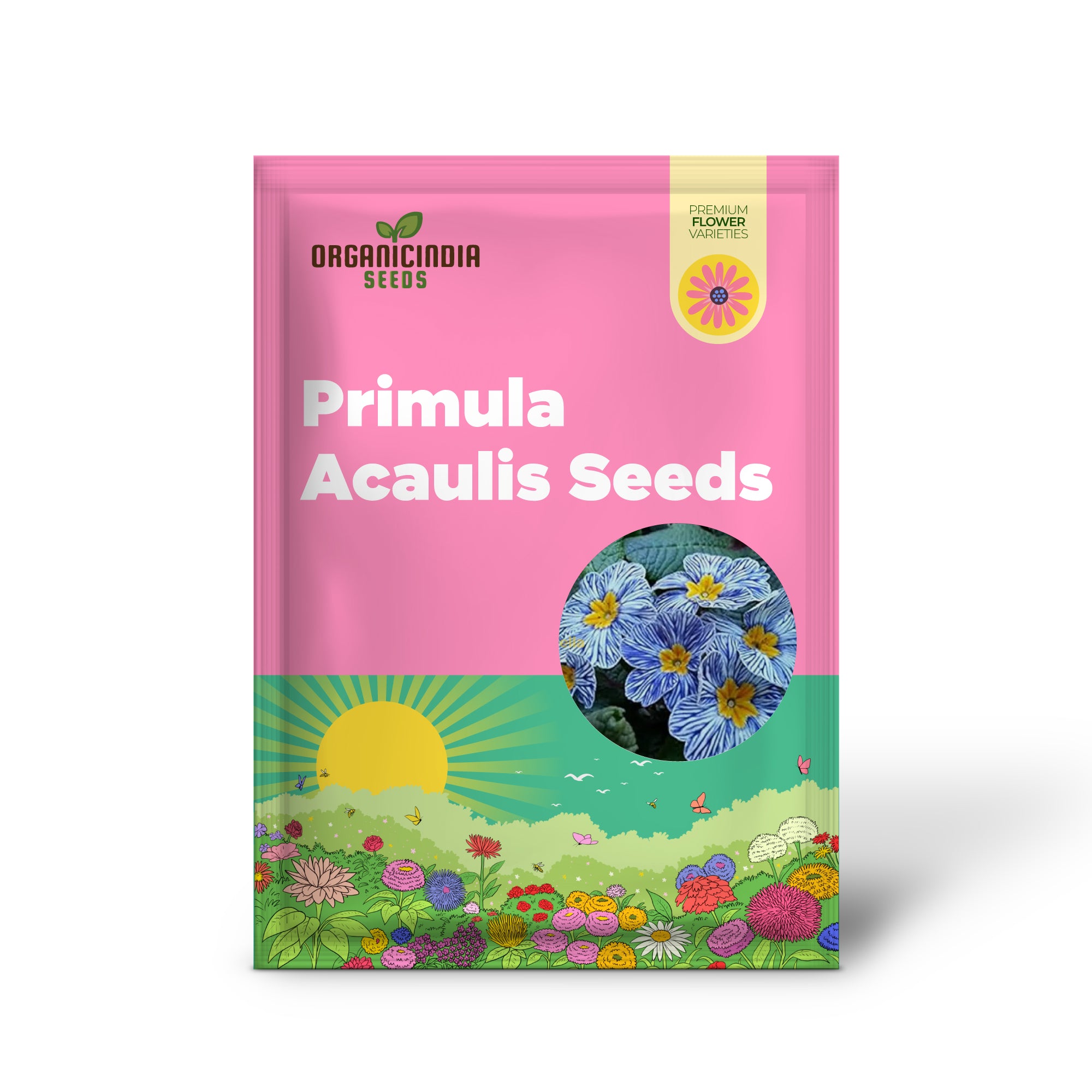 Primula Acaulis Light Blue Seeds for Planting - Premium European Flower Seeds for Vibrant Blooms
