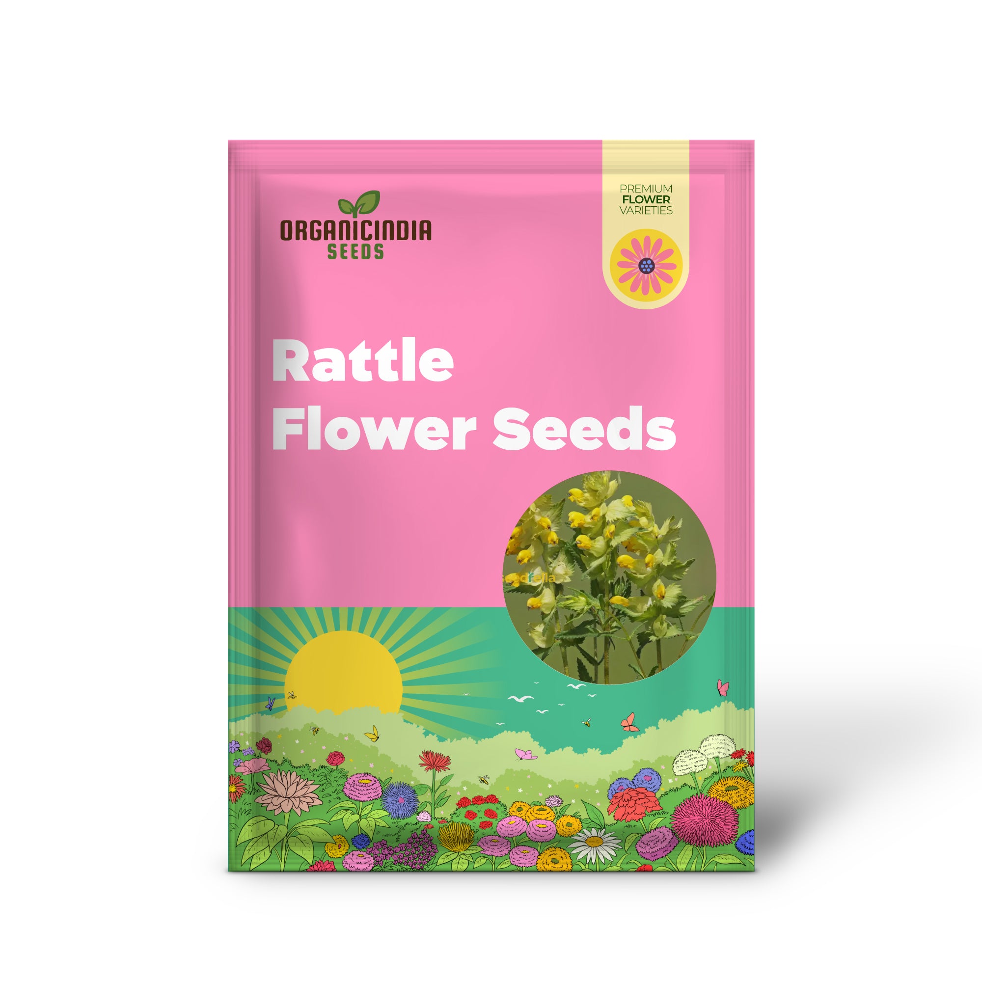 Yellow Rattle Flower Seeds for Planting - Grow Vibrant, Unique Blooms in Your Garden