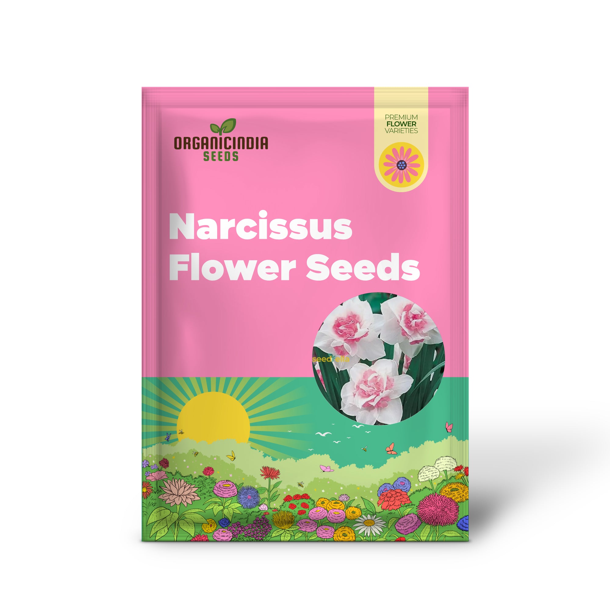 Narcissus Flower Seeds for Planting - White & Pink Varieties for Stunning Garden Blooms
