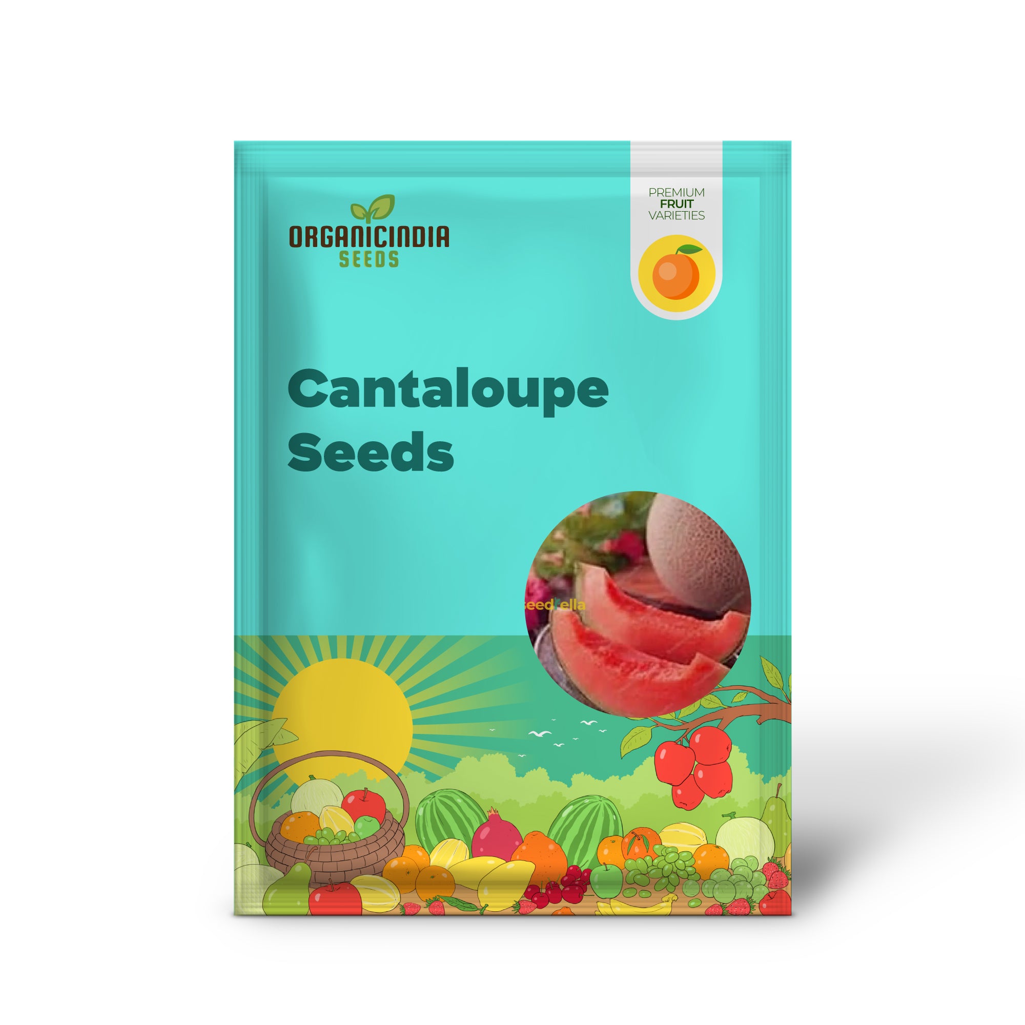 Pink Cantaloupe Seeds for Planting Sweet Melon Fruit