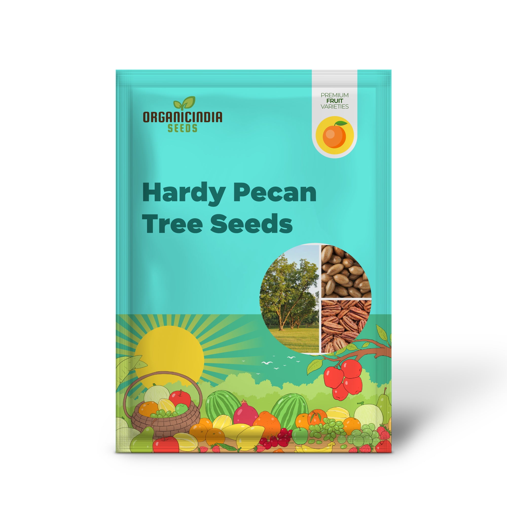 Hardy Pecan Tree Seeds
