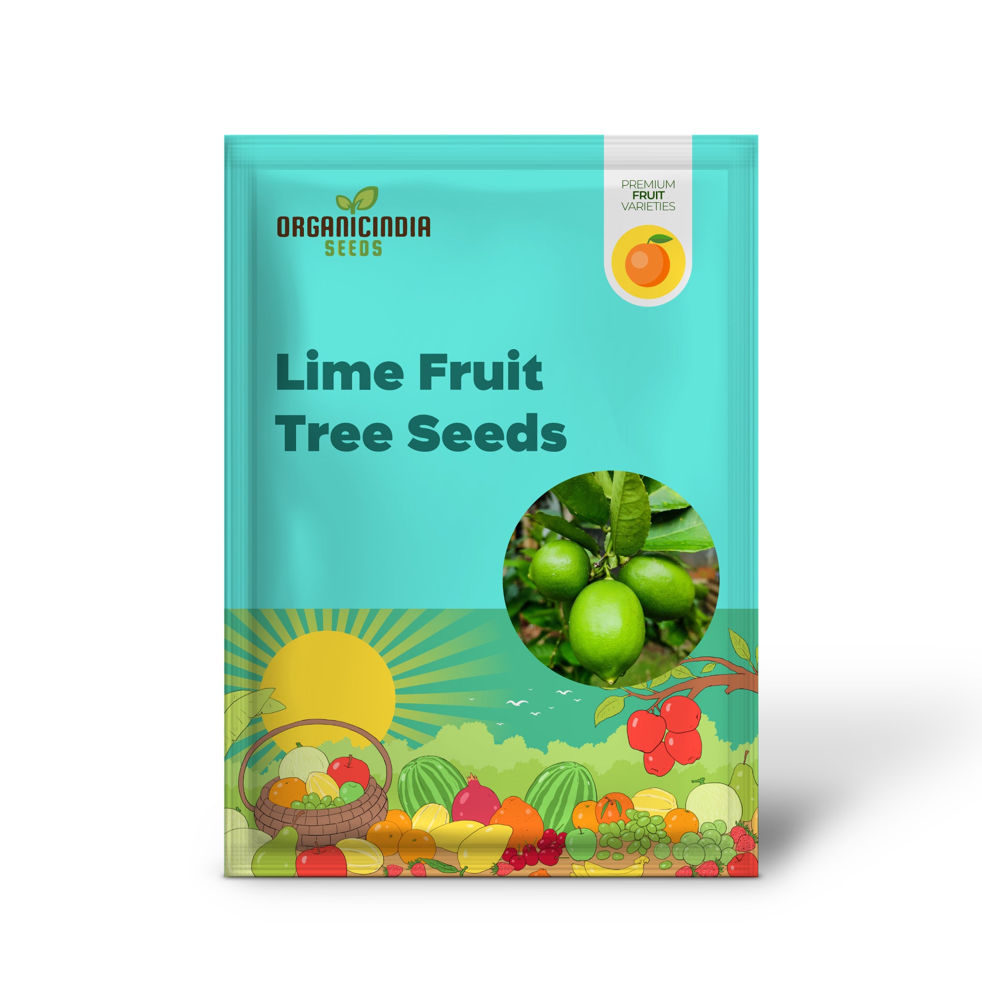 Key Lime Fruit Tree Seeds