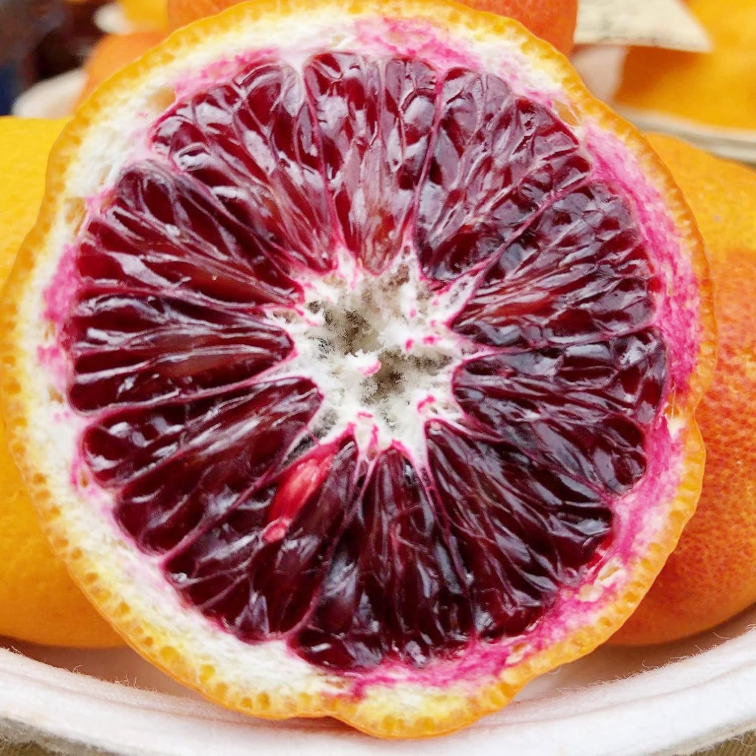 Blutorangenbaumsamen – wächst schnell, ist reich an Vitamin C, saftig, gentechnikfrei, ideal für Behälter, die Terrasse, drinnen und draußen – 20 Stück