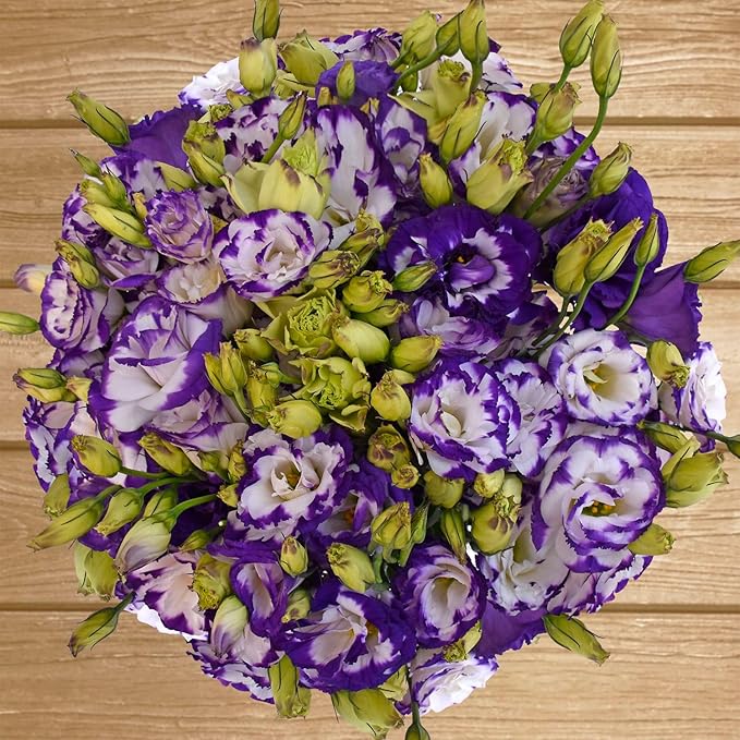 Purple White Lisianthus Seeds For Planting