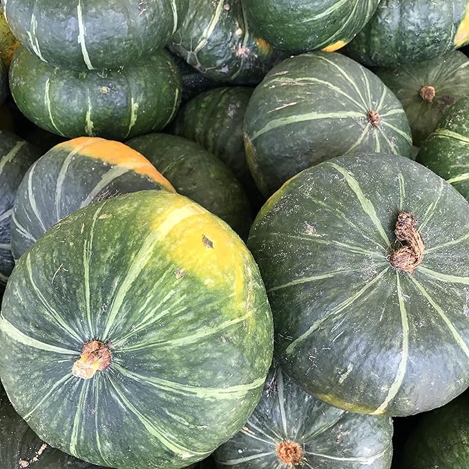 Japanese Green Pumpkin Seeds, Traditional, Flavorful And Nutritious