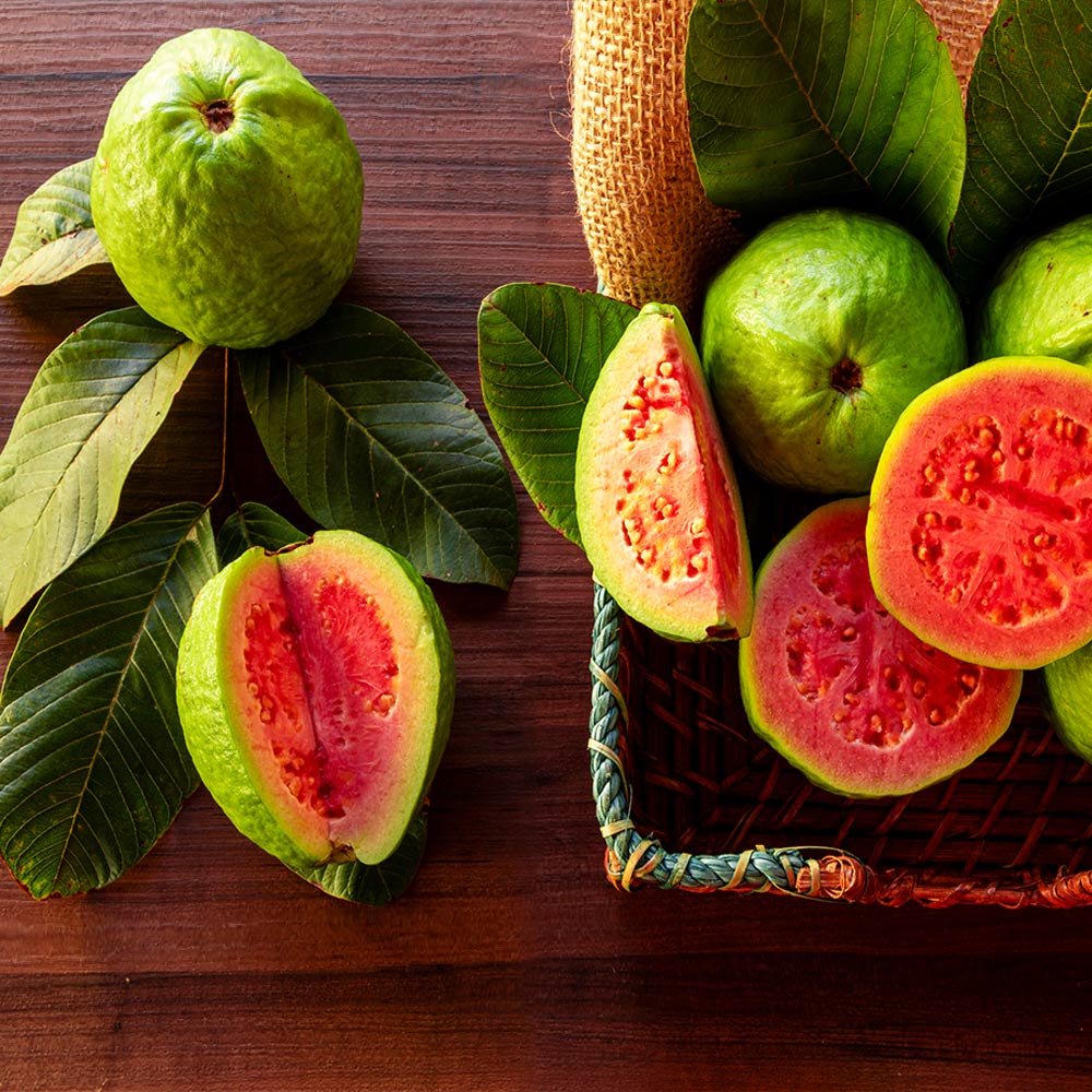 Pink Supreme Guava Seeds – Sweet & Juicy Tropical Fruit for Planting
