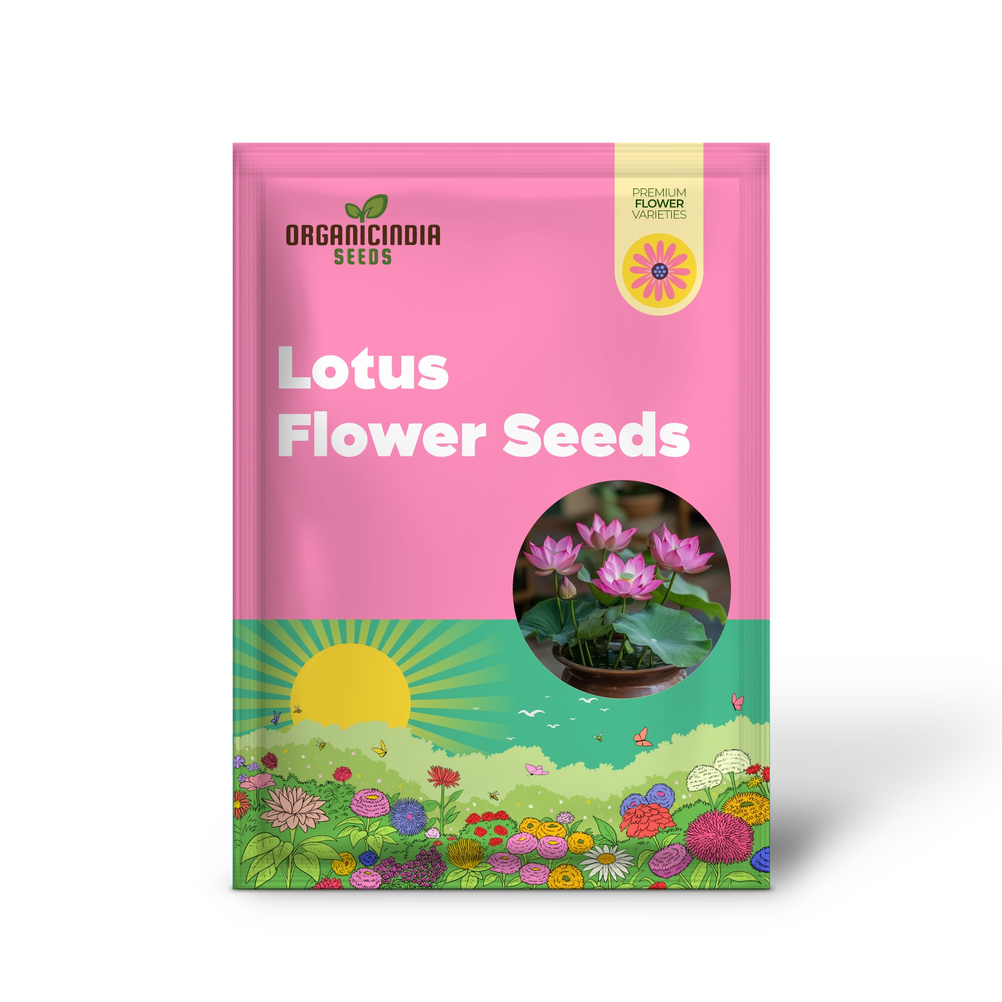 Premium Pink Lotus Flower Seeds, Grow Exotic Blooms