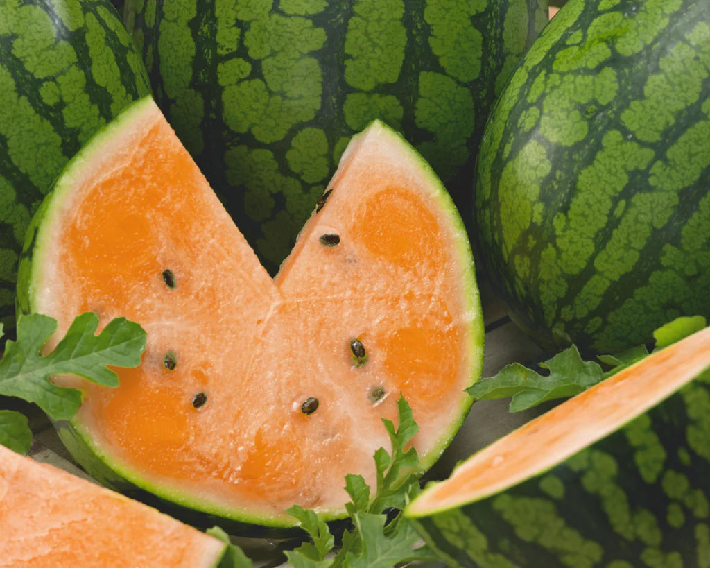 Semi di anguria Tendersweet arancione