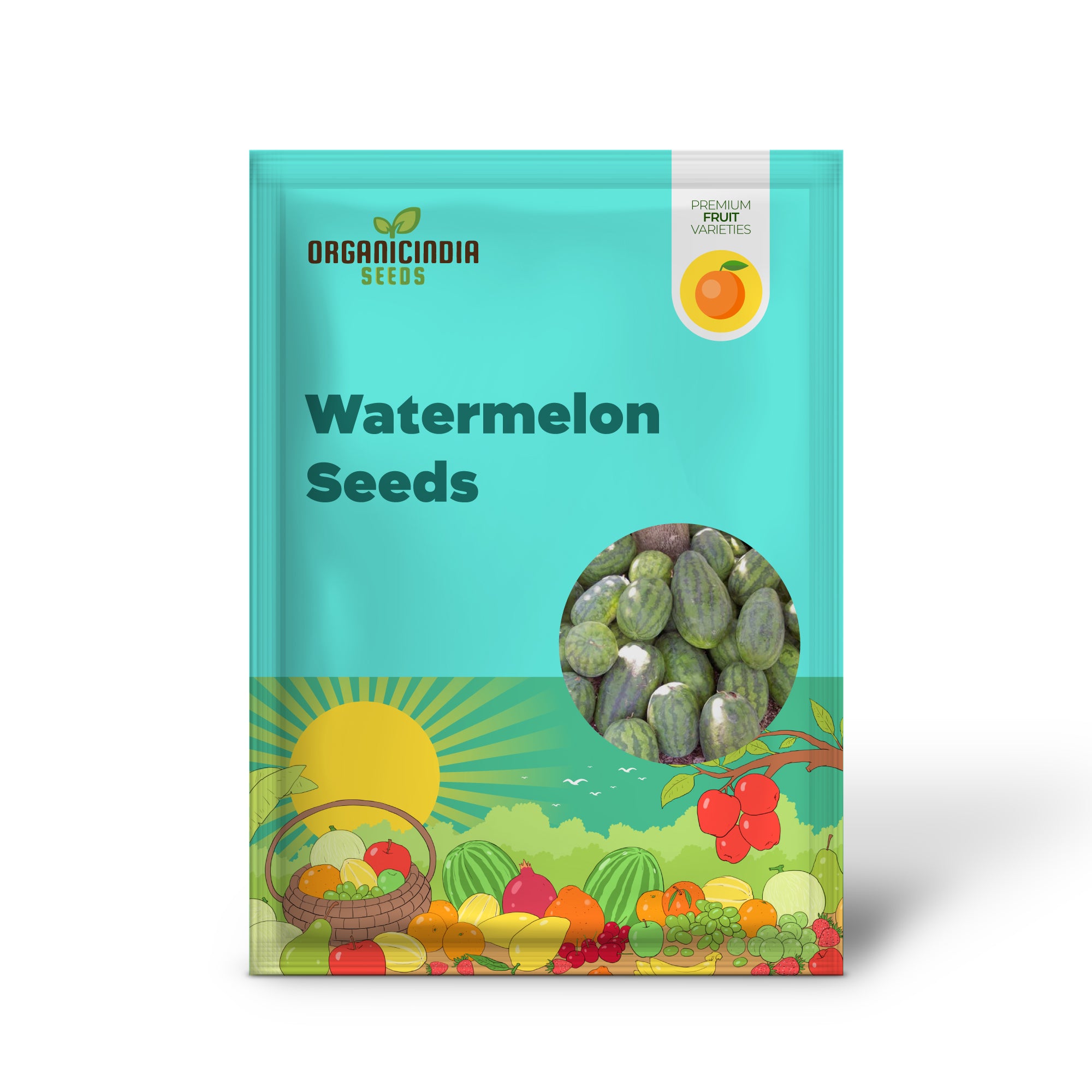 AAS Winner Congo Watermelon plant