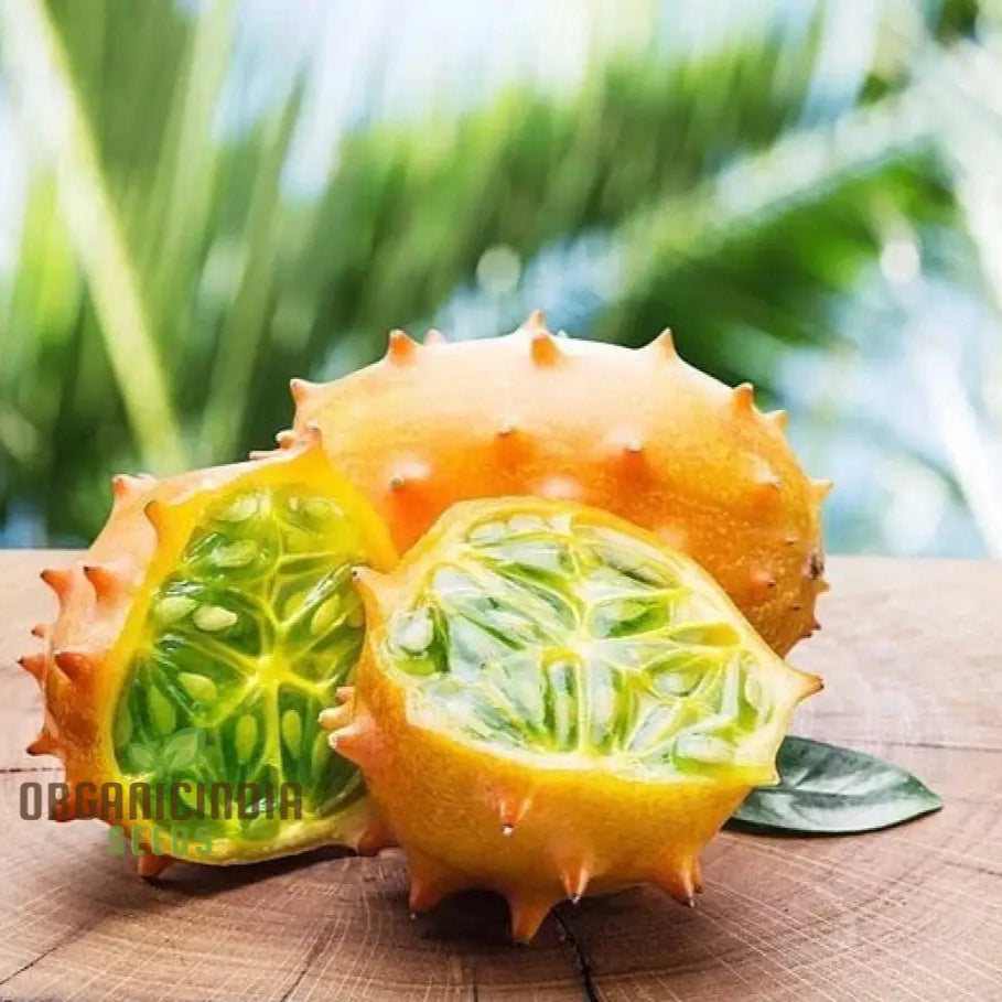 Organic African Horned Cucumber Seeds for Planting, Kiwano Seeds for Gardening