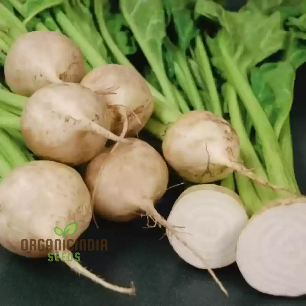 Albino Beet Seeds for Home Garden, Unique Heirloom Vegetable Seeds