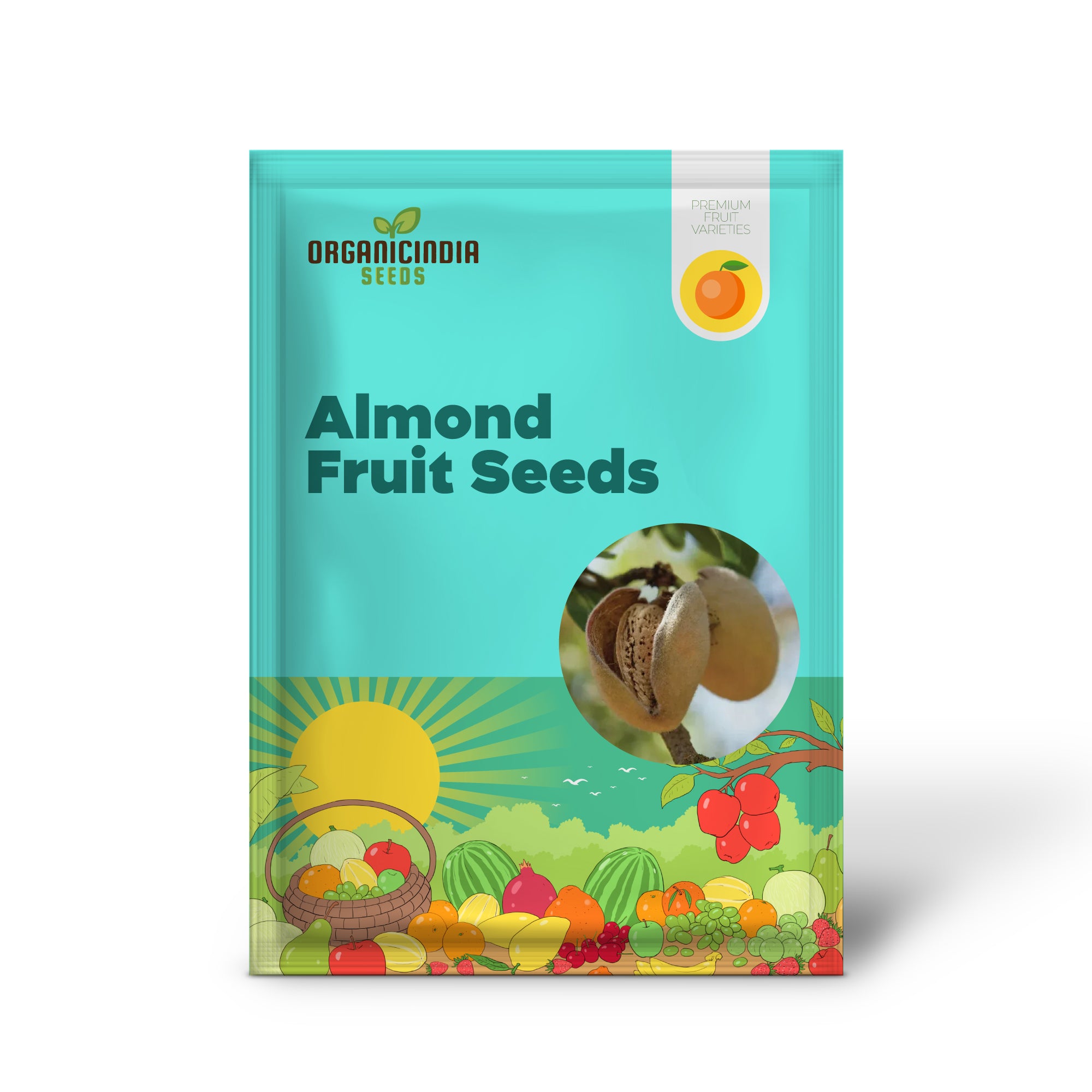 Almond Tree seeds for planting nutrient-rich Badam trees at home
