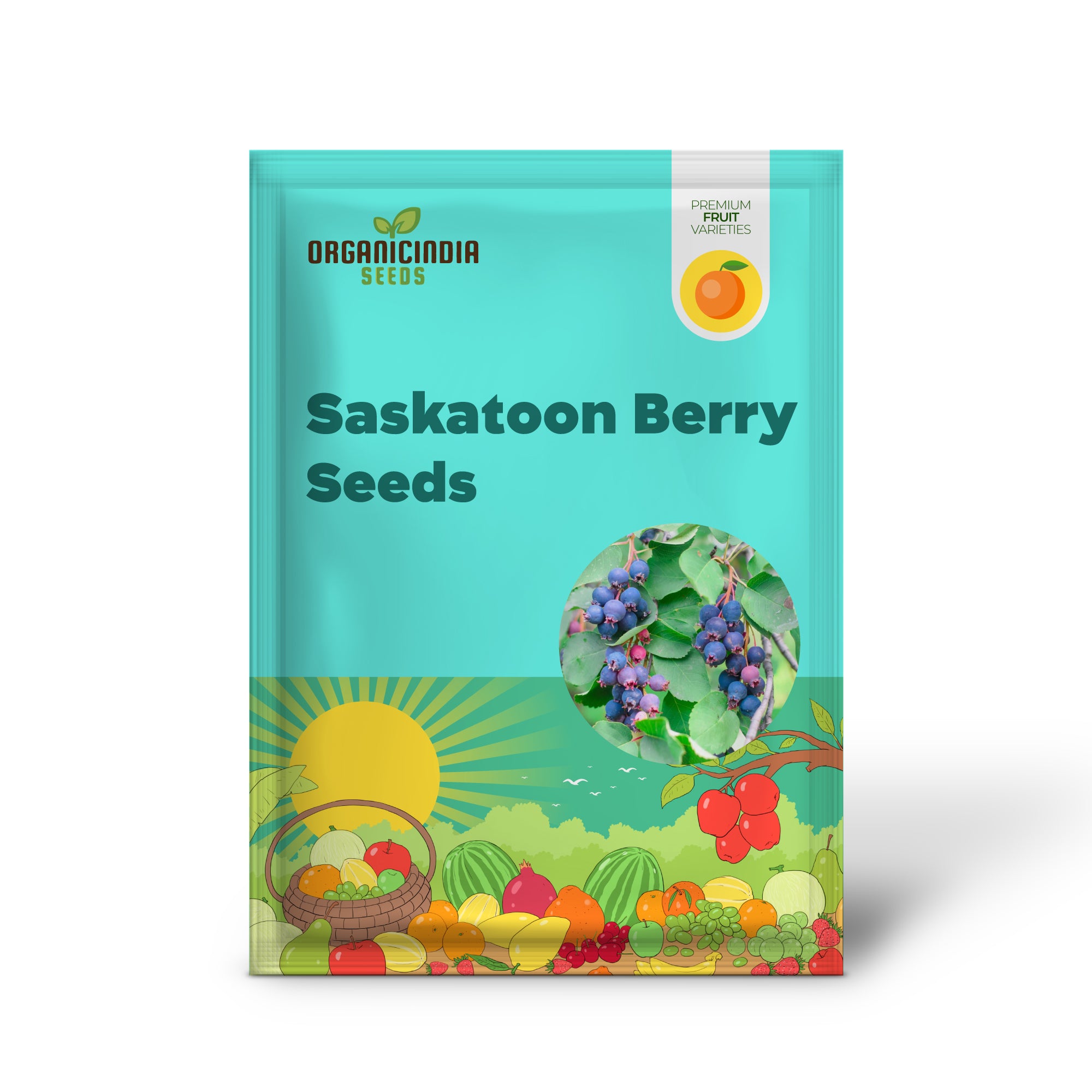 Amelanchier alnifolia seeds for growing Saskatoon berry bushes