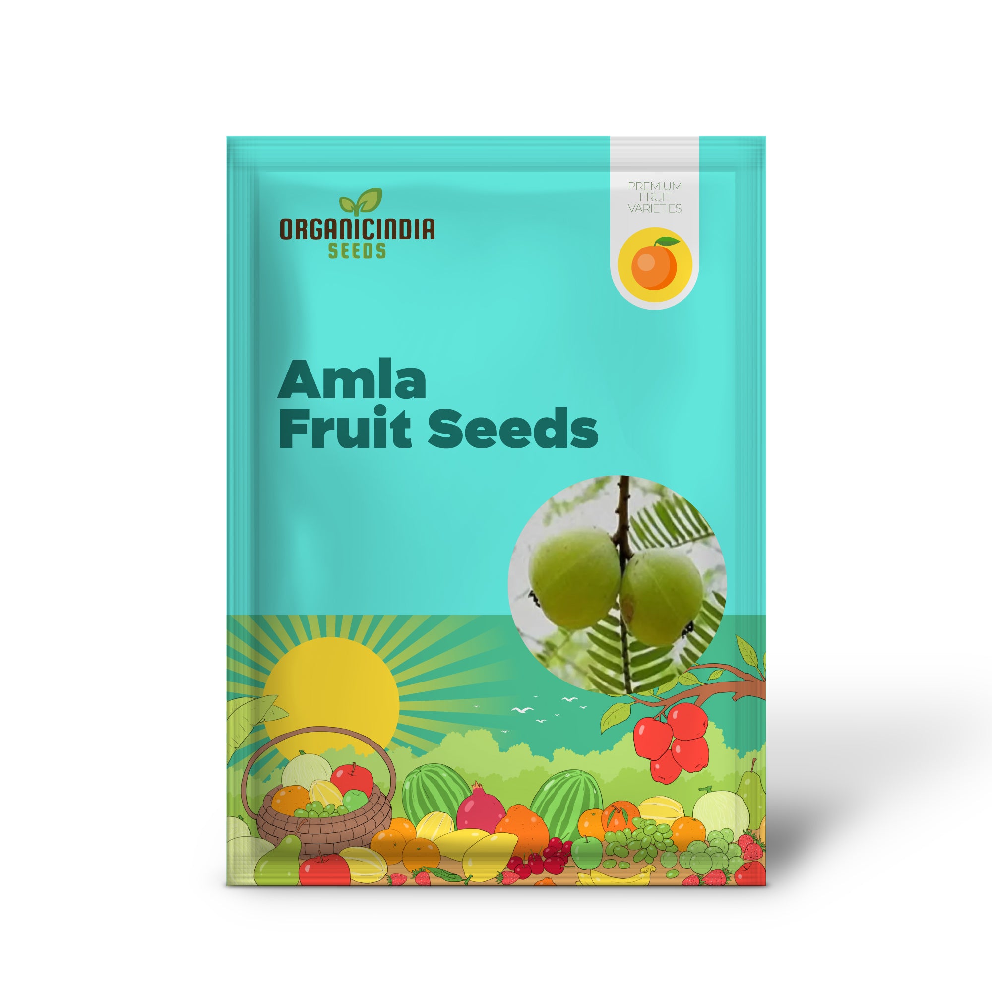 Amla seeds for planting Indian gooseberry trees in home gardens