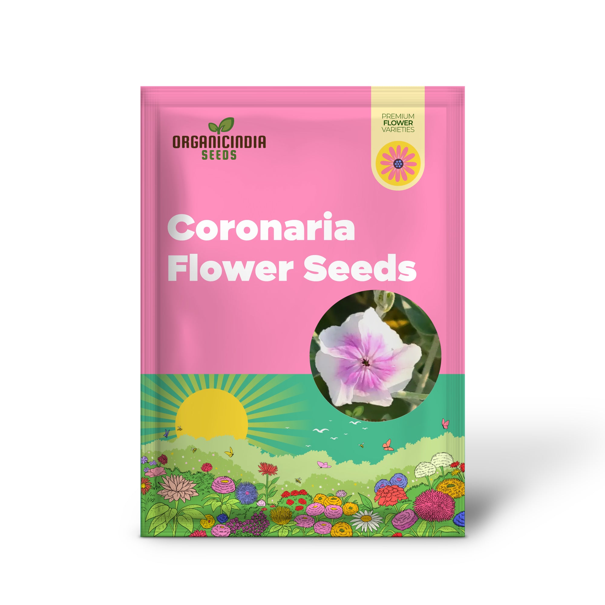 Angel's Blush Lychnis seeds germinating in garden tray