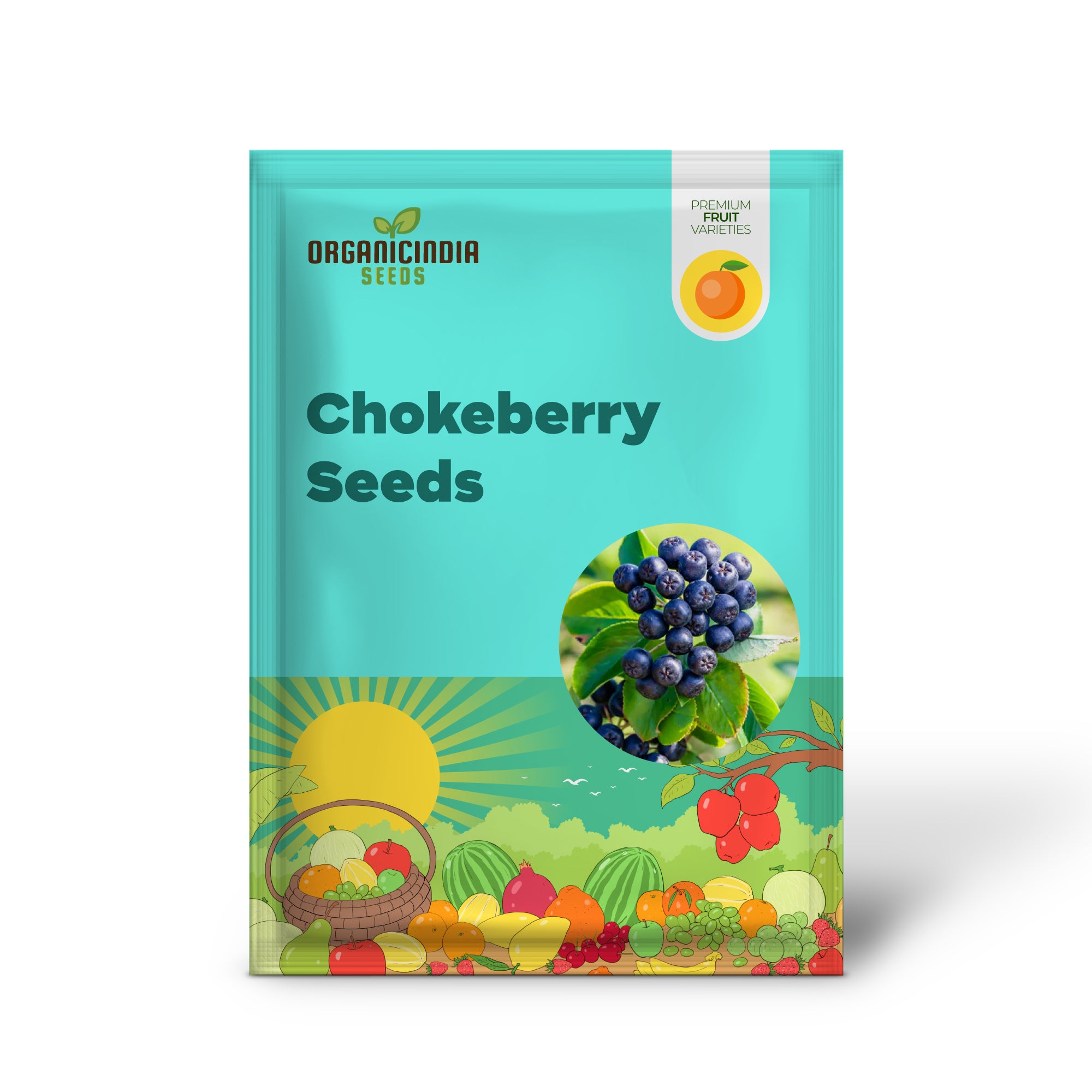 Aronia prunifolia shrub with clusters of white spring flowers