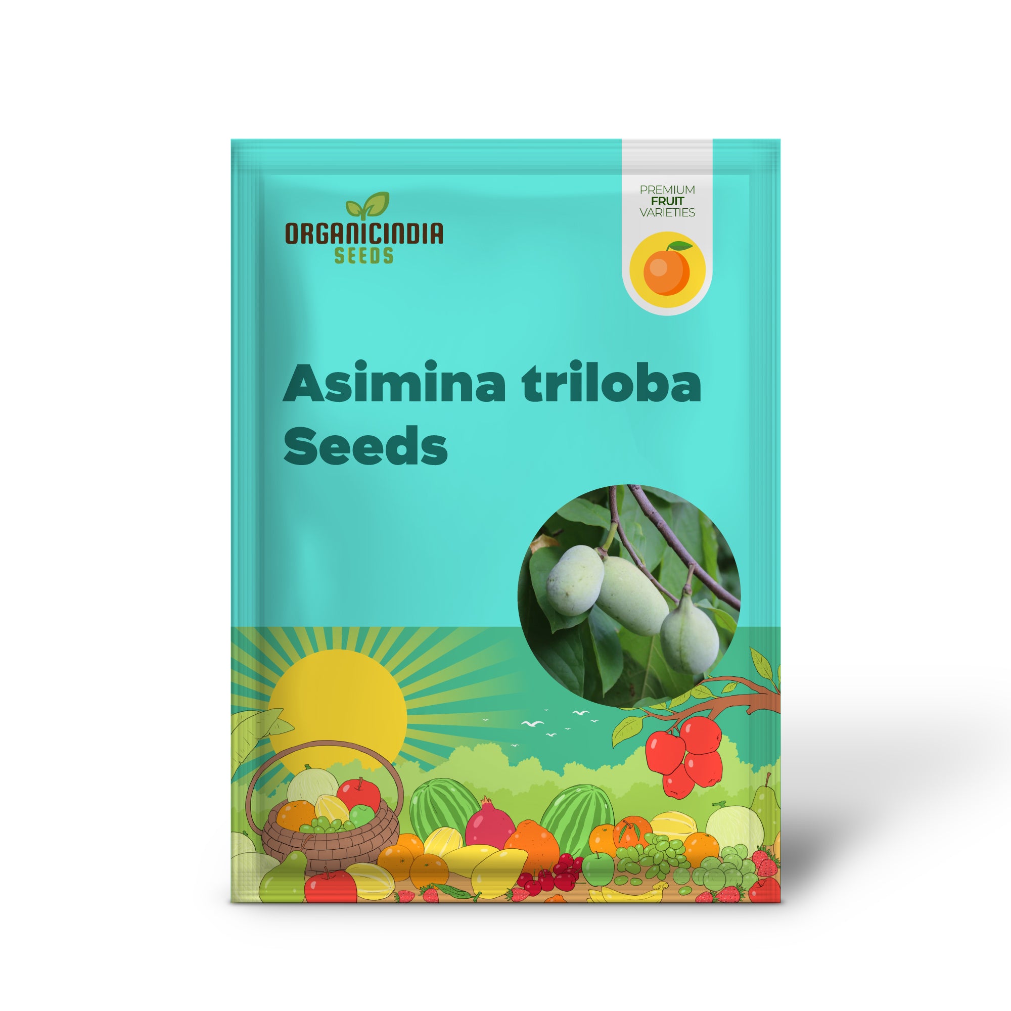 Asimina Triloba Seedlings Growing from Non-GMO Pawpaw Seeds