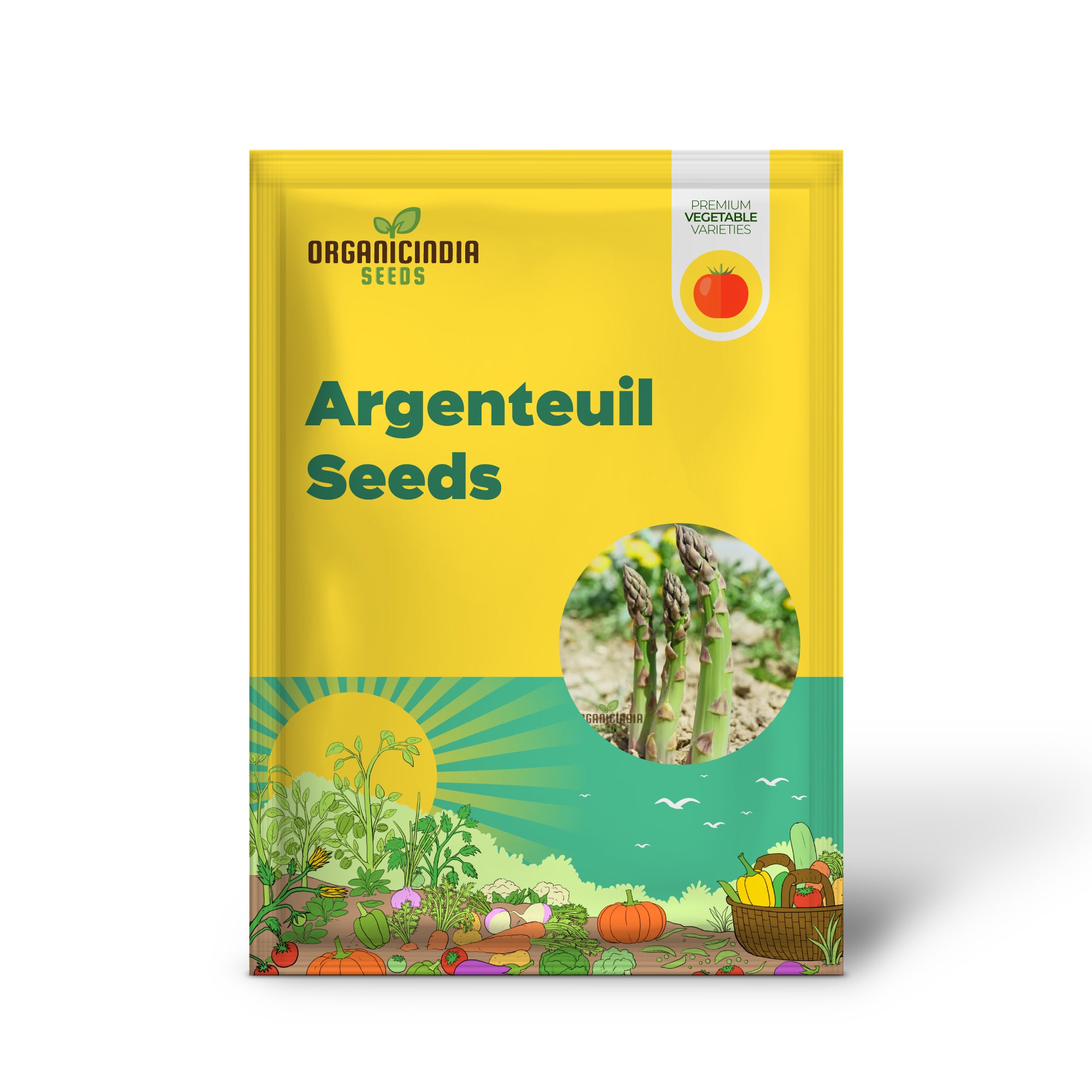 Mary Washington & Argenteuil Asparagus Seedlings Growing from Seeds, Home Garden