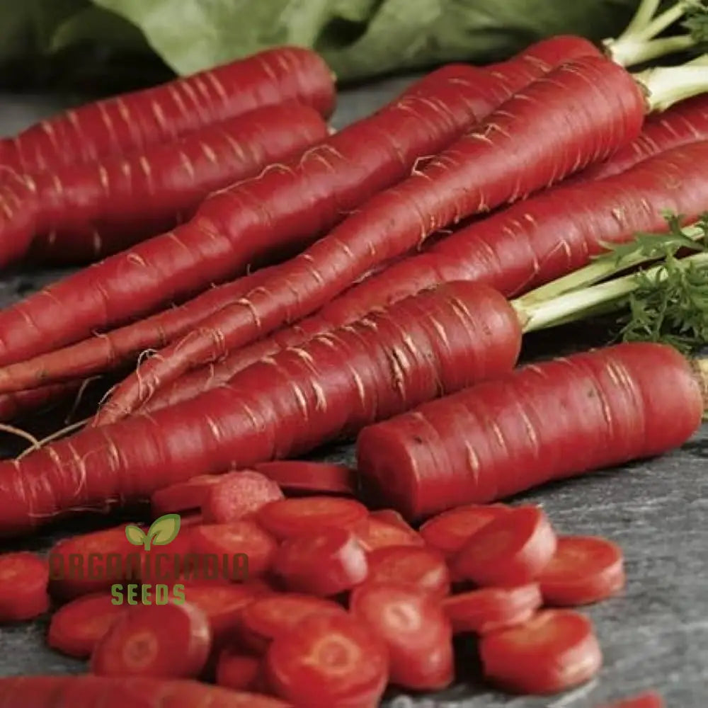 Atomic Red Carrots in Garden Bed, Premium Garden Vegetable Seeds