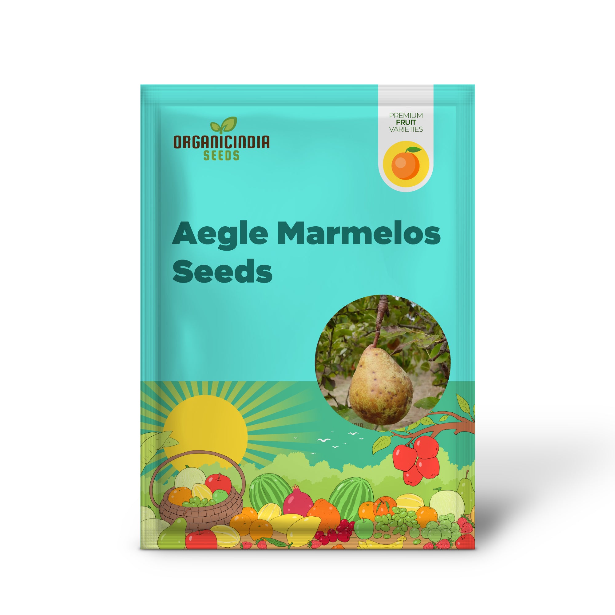 Bael tree seeds for planting Aegle Marmelos trees in home gardens
