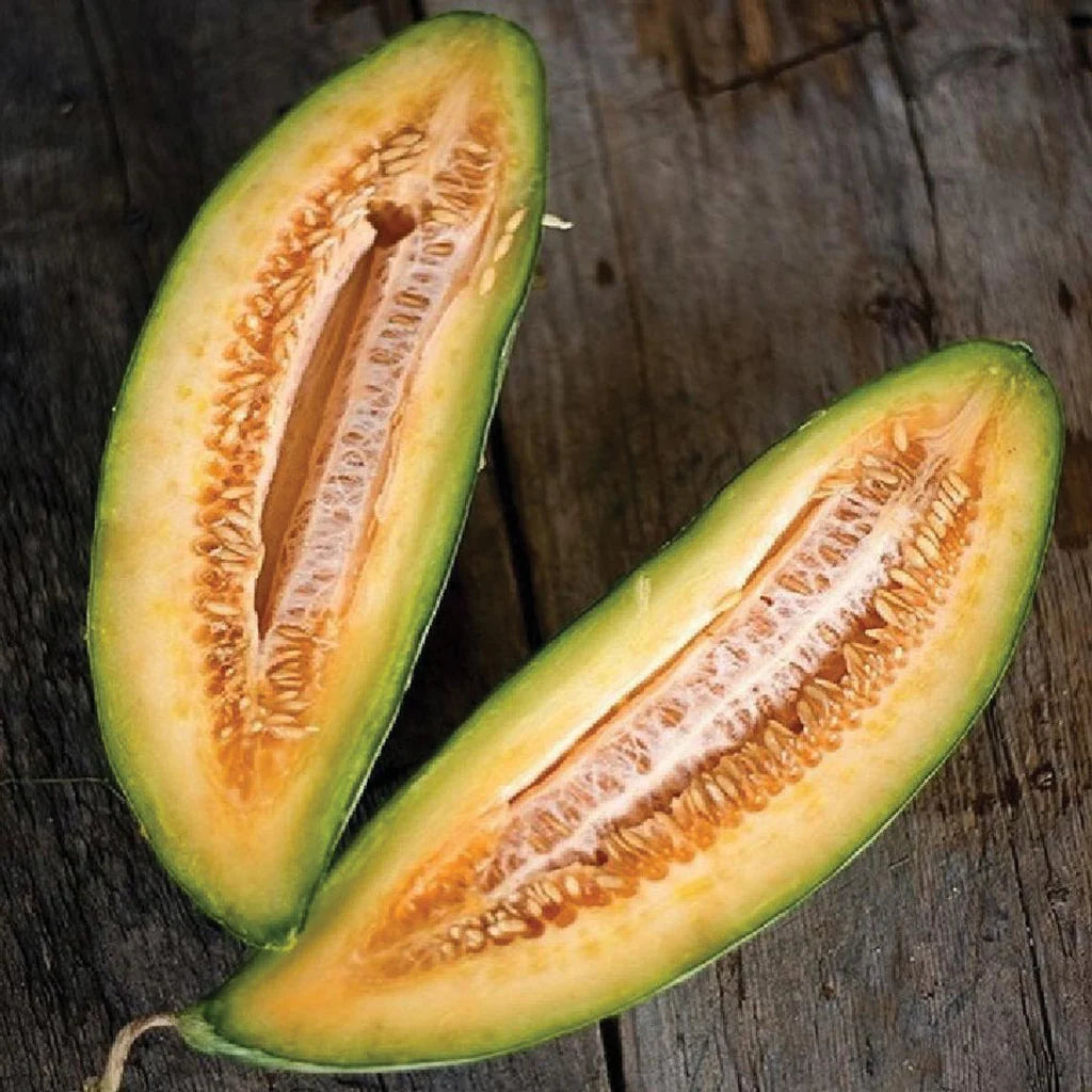 Banana Melon Seeds – Cucumis melo Sweet Heirloom Variety