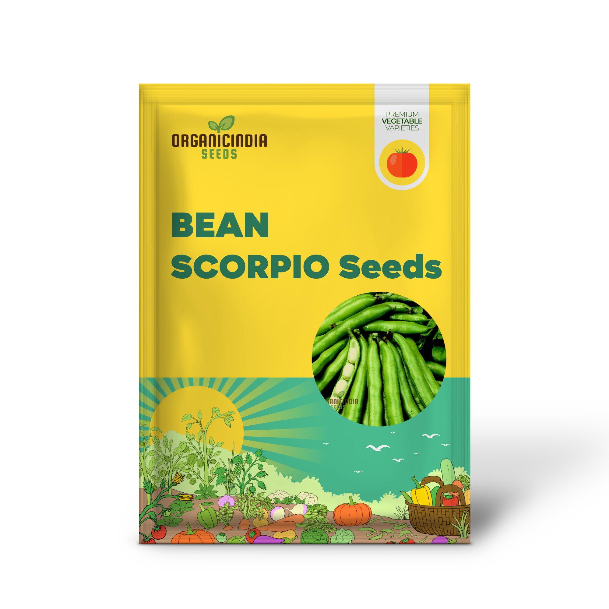 Scorpio Bean Seedling Growing from Seeds, Easy Garden Variety