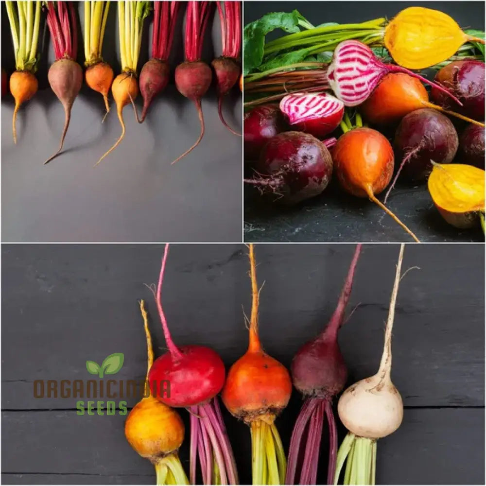Heirloom Mix Beetroot Seeds for Home Garden, Nutrient-Rich Vegetable Seeds