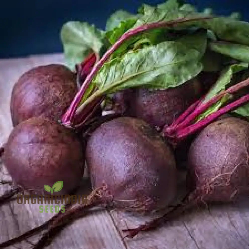 Pablo F1 Beetroot Seeds Packet, Hybrid Non-GMO Vegetable Seeds for Planting
