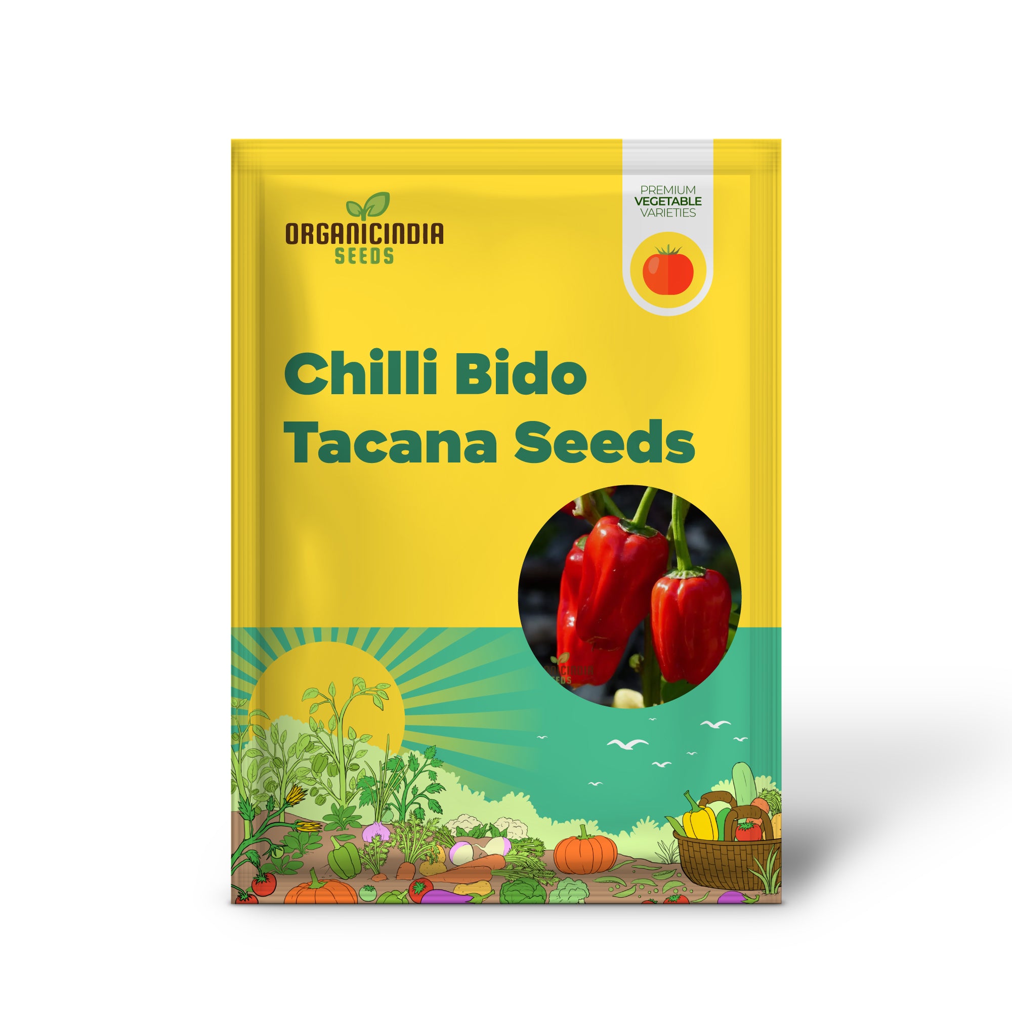 Bido Tacana RED Chilli Seedling from Seeds, Easy-to-Grow Garden Chili