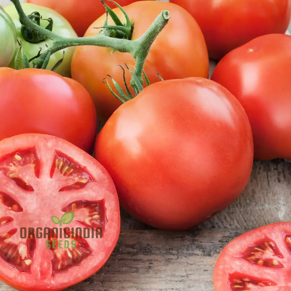 Big Beef Tomato Seeds for Planting, Premium Hybrid Non-GMO Seeds