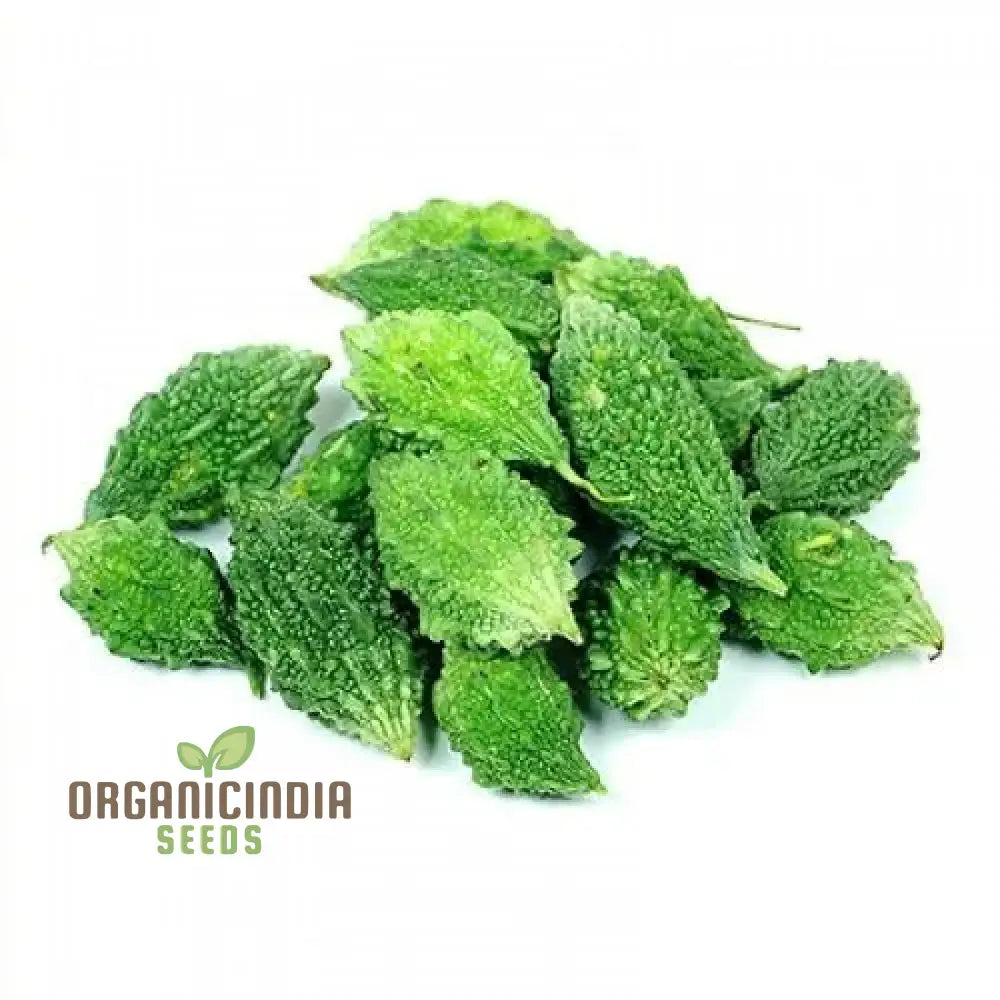 Bitter Gourd Plants Growing on Trellis from Organic Seeds