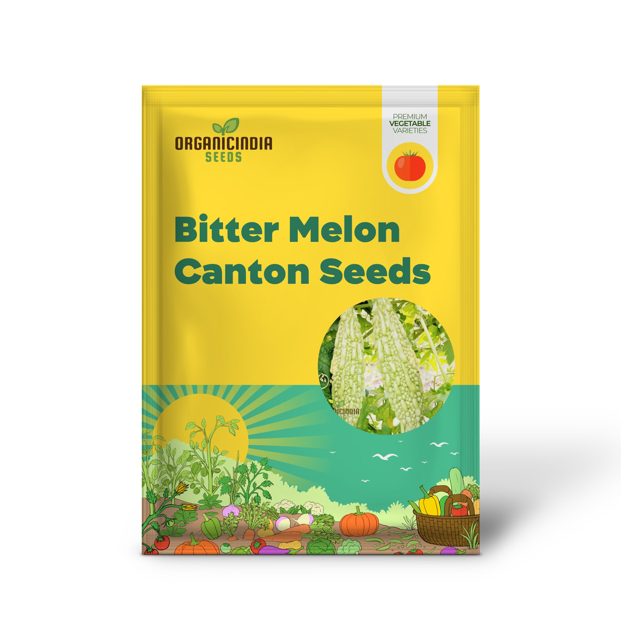 Canton Green F1 Bitter Melon Seedling from Seeds, Home Garden Vegetable